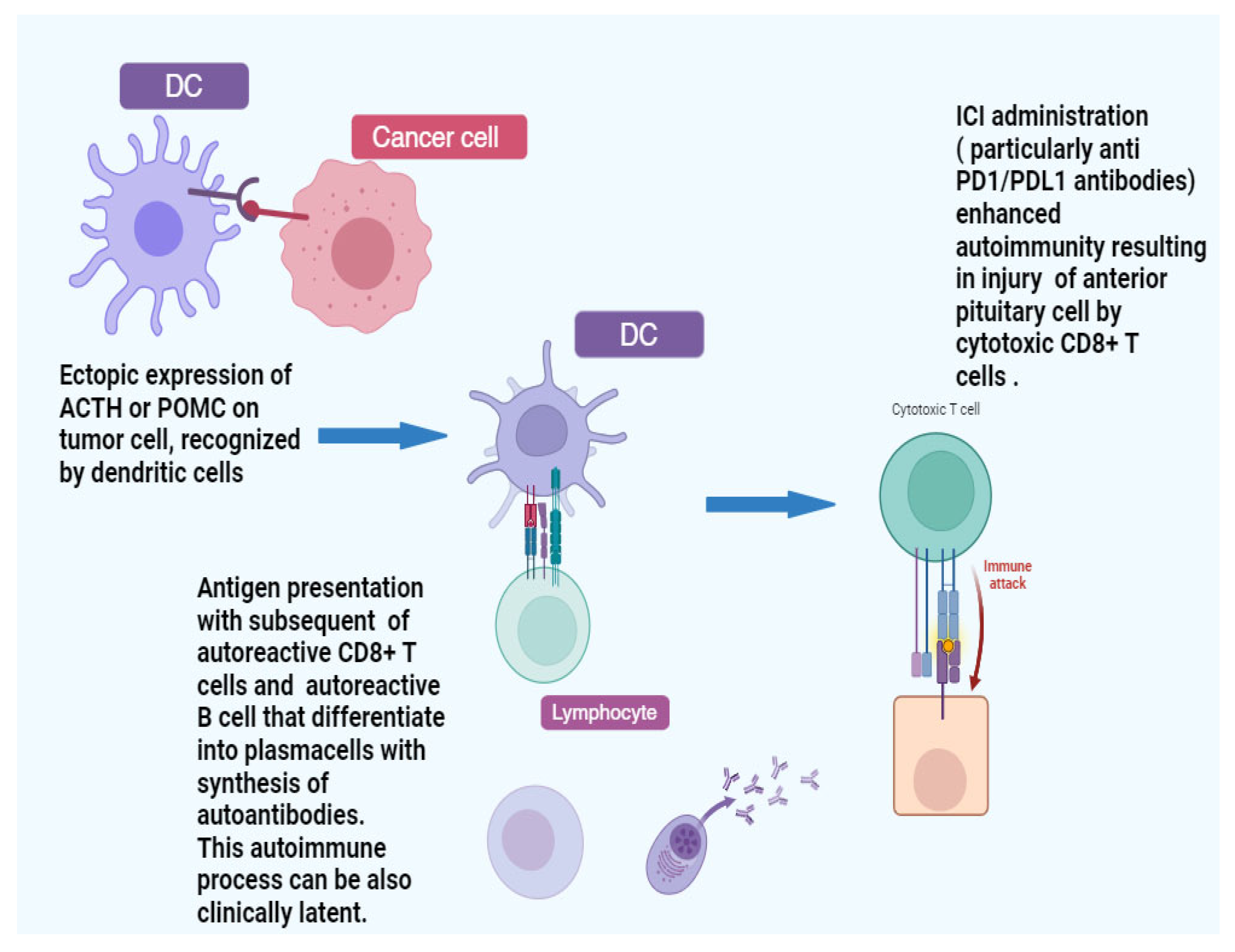 Cancers 17 00436 g005
