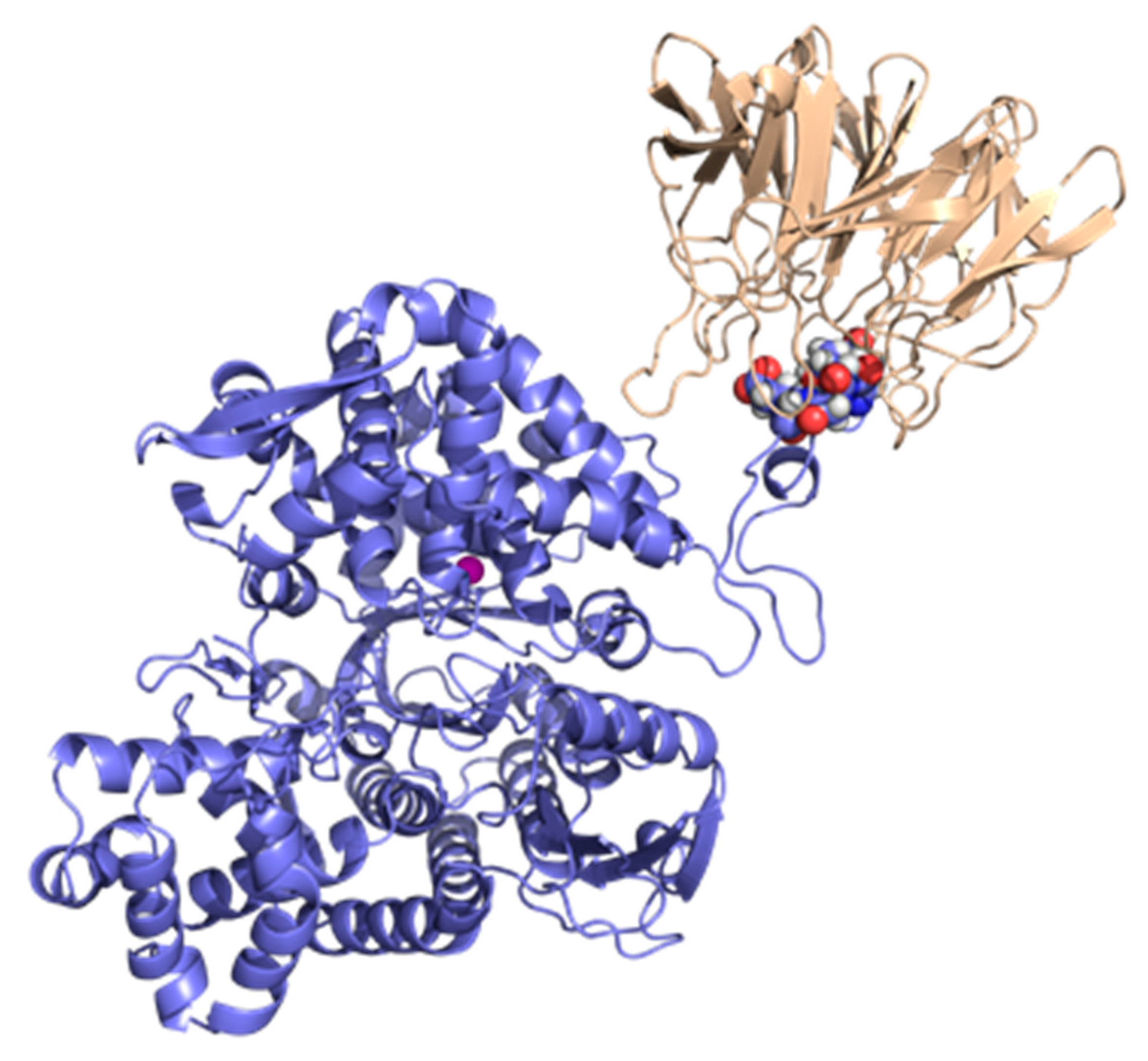 Cancers 17 00447 g003