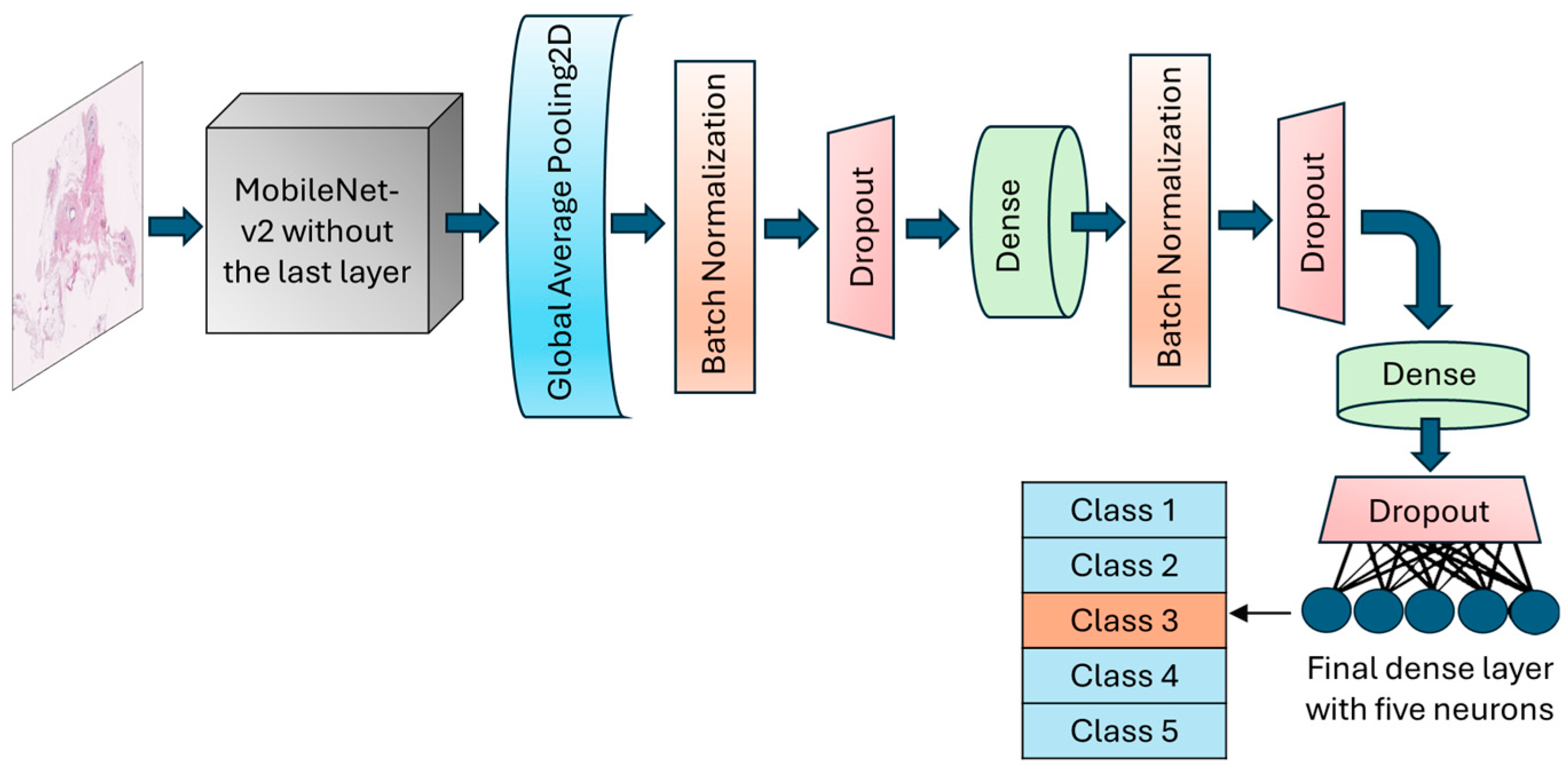 Cancers 17 00449 g003