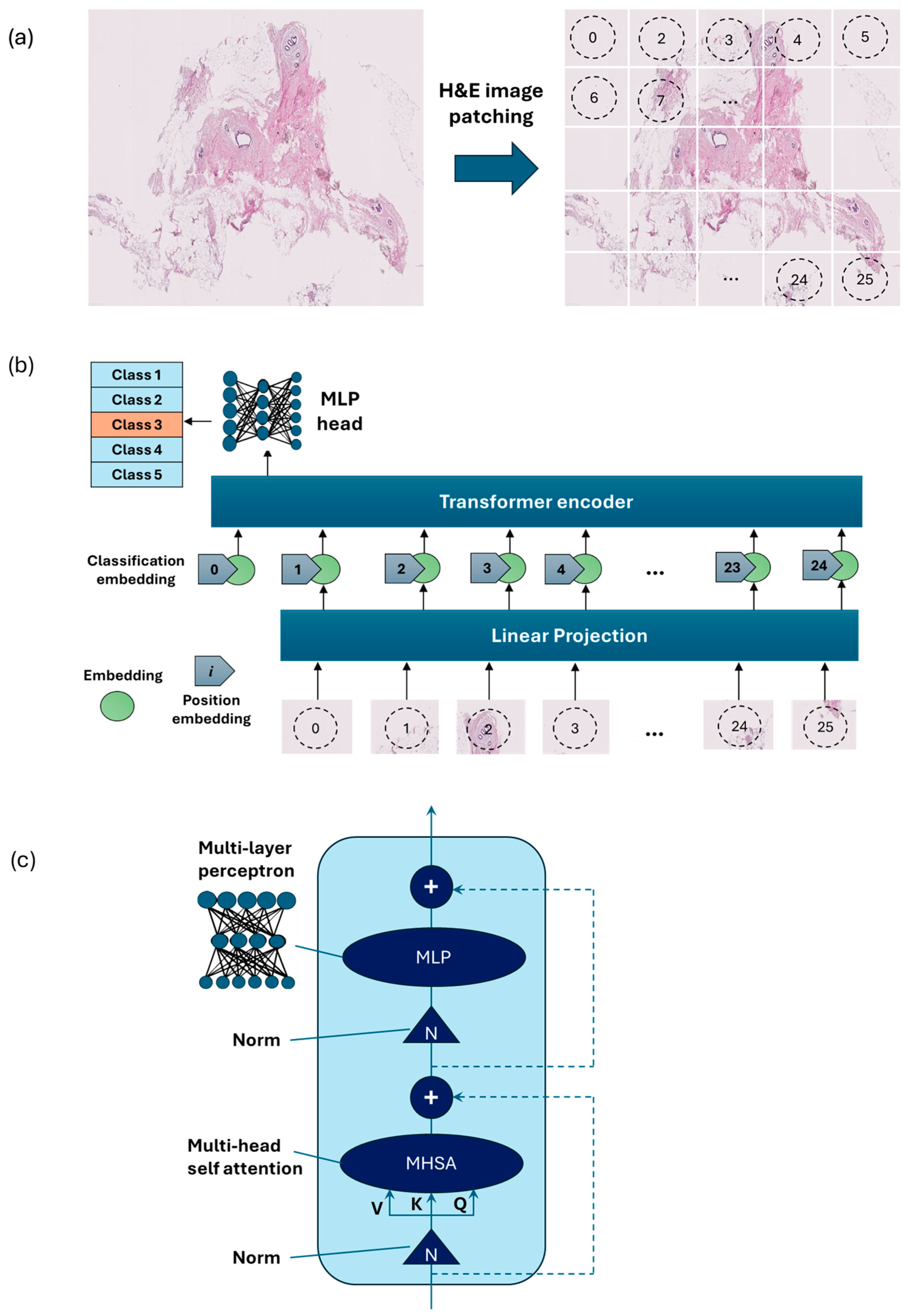 Cancers 17 00449 g004