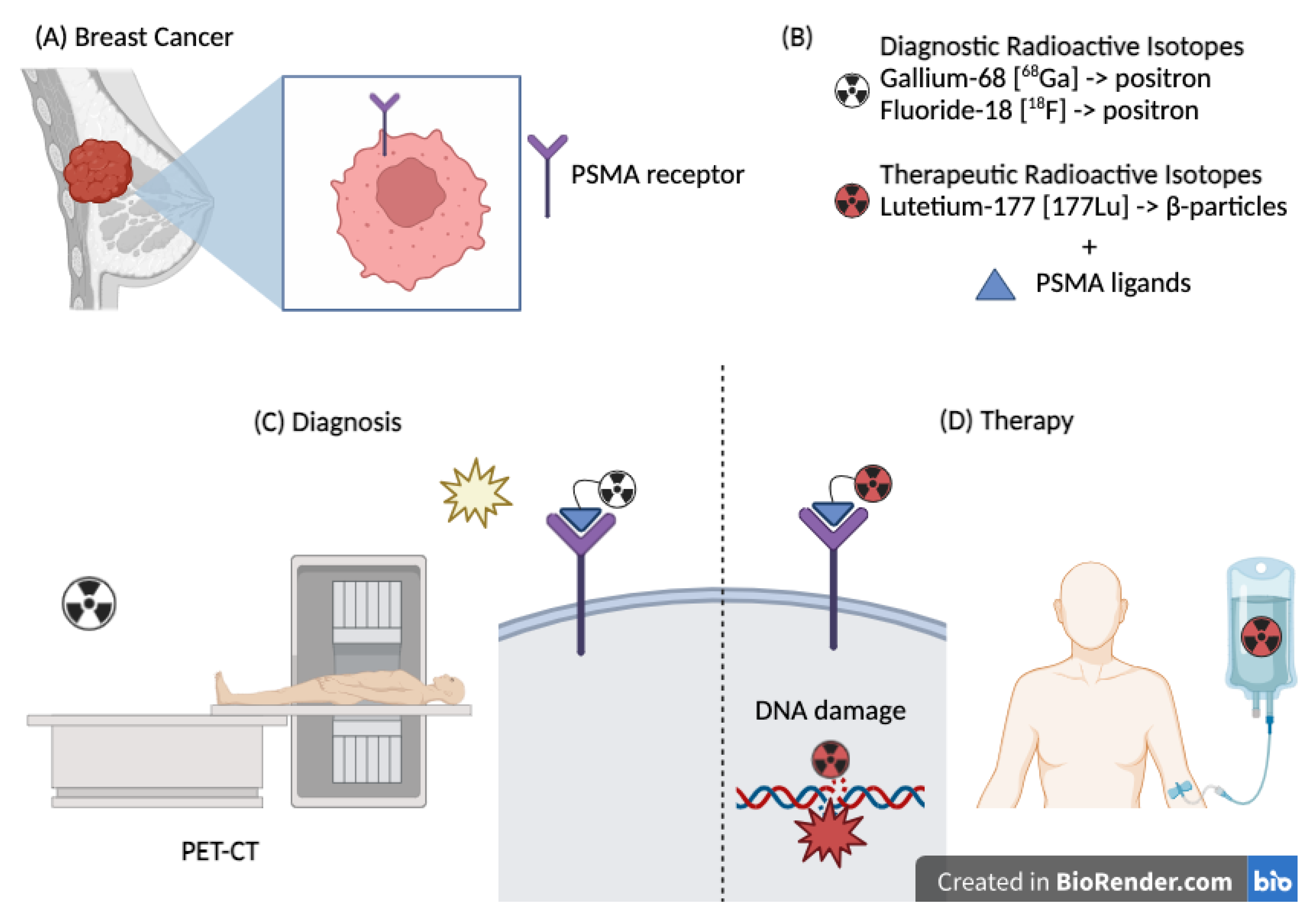Cancers 17 00456 g002