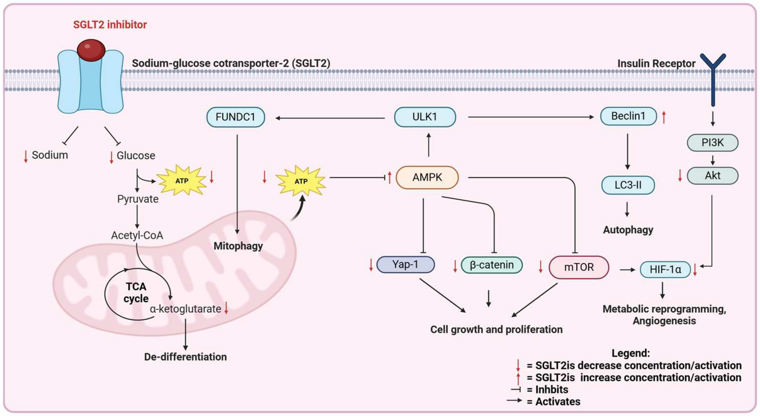 Cancers 17 00466 g002