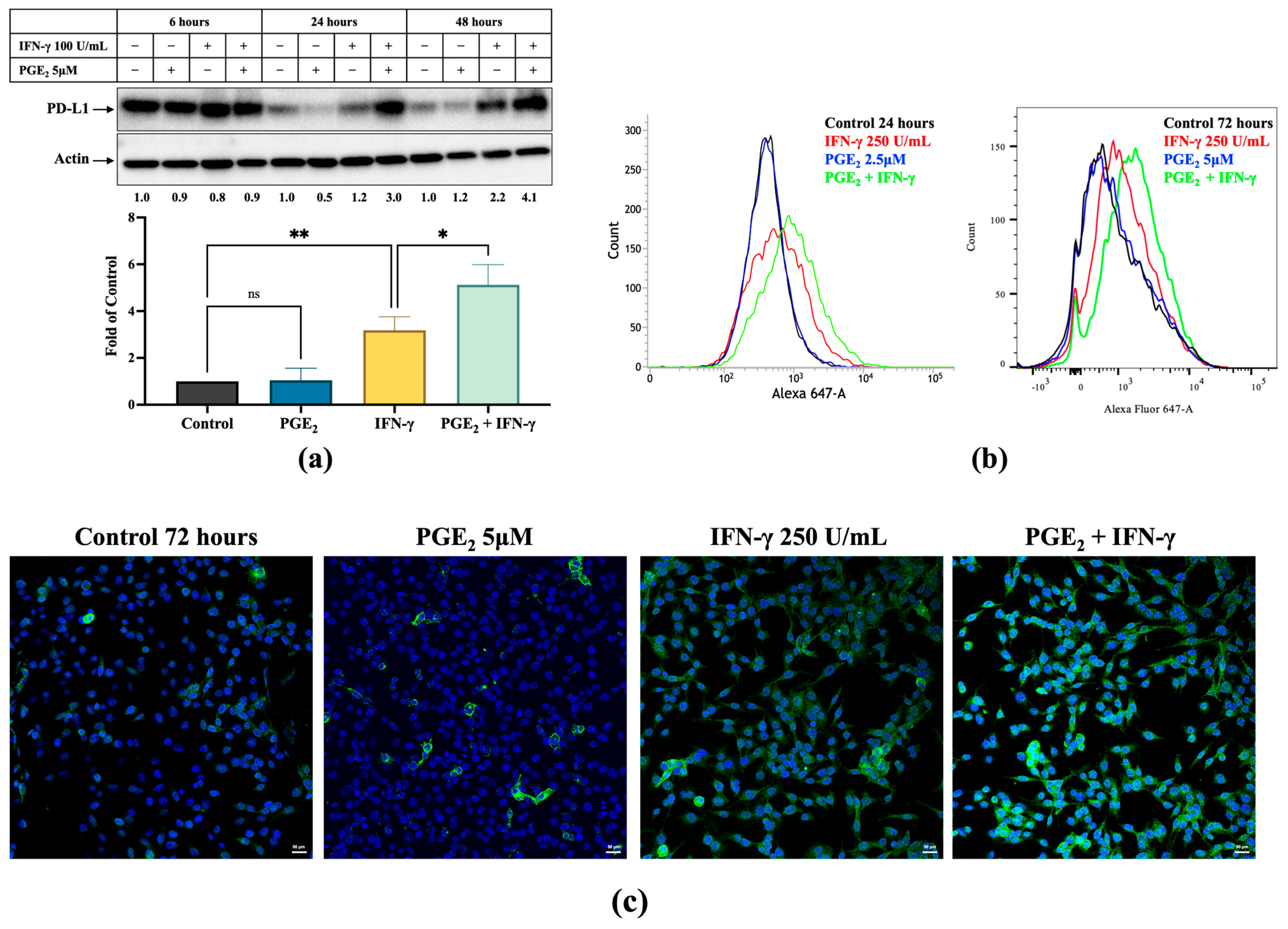 Cancers 17 00477 g002a