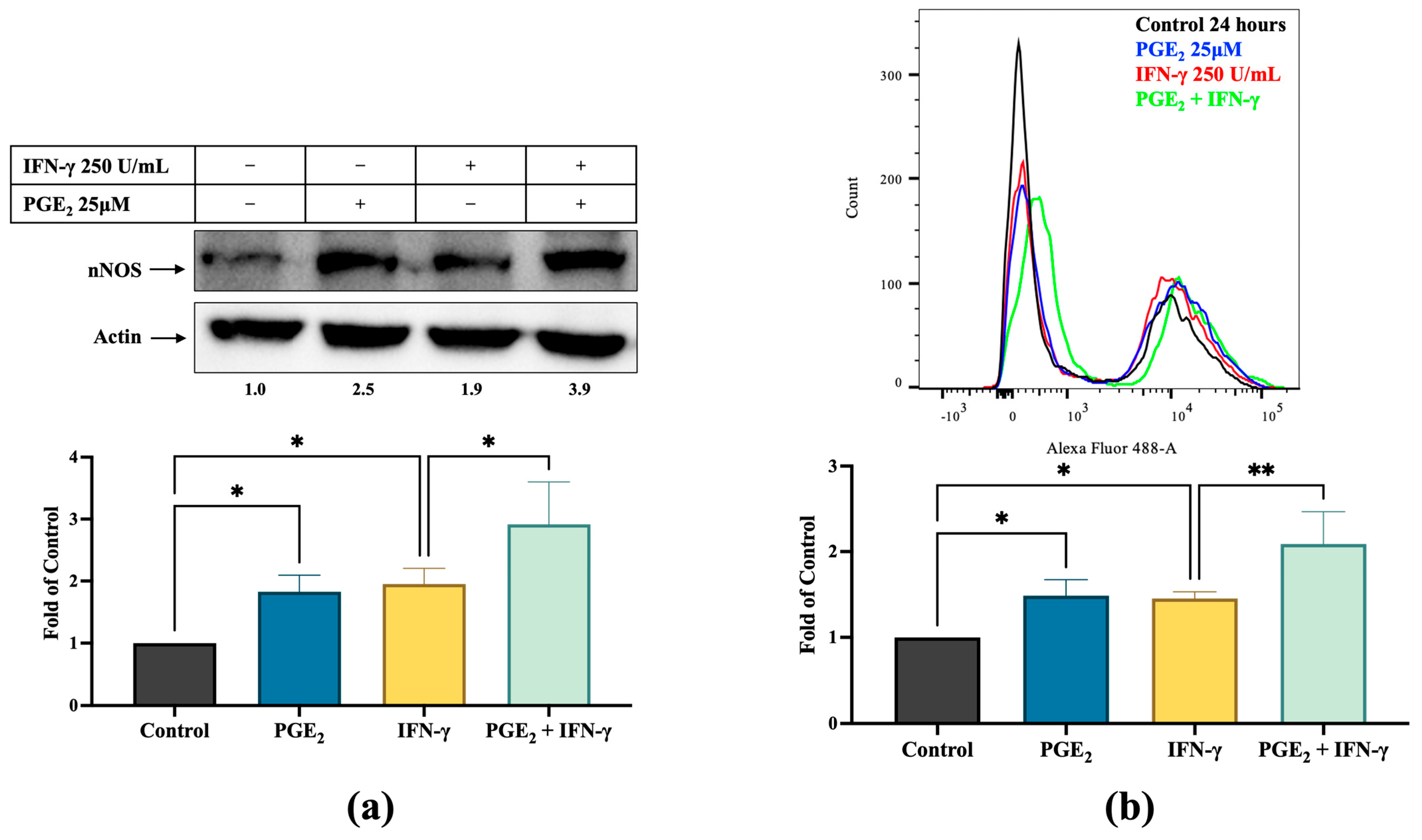 Cancers 17 00477 g003a