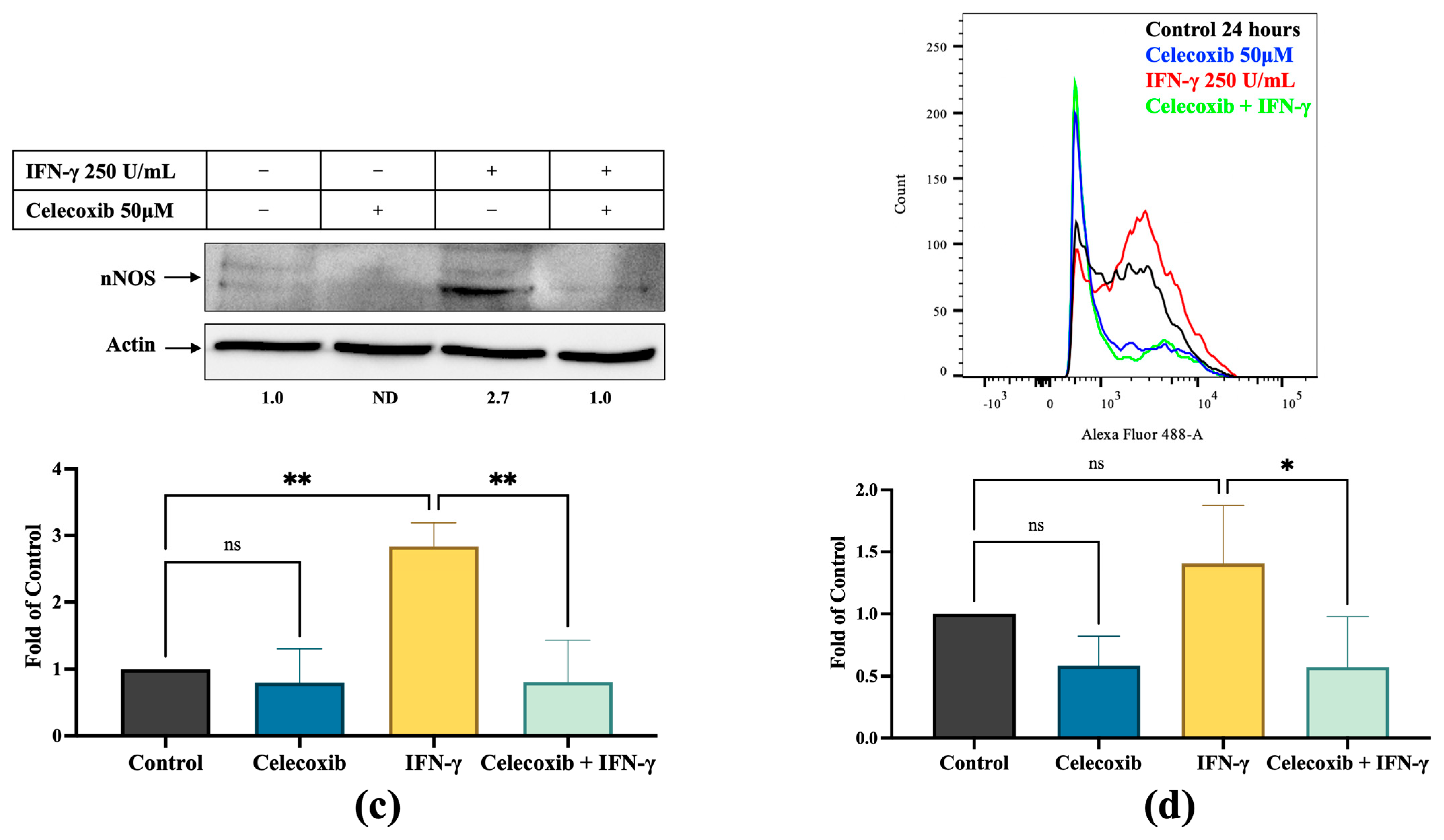 Cancers 17 00477 g003b