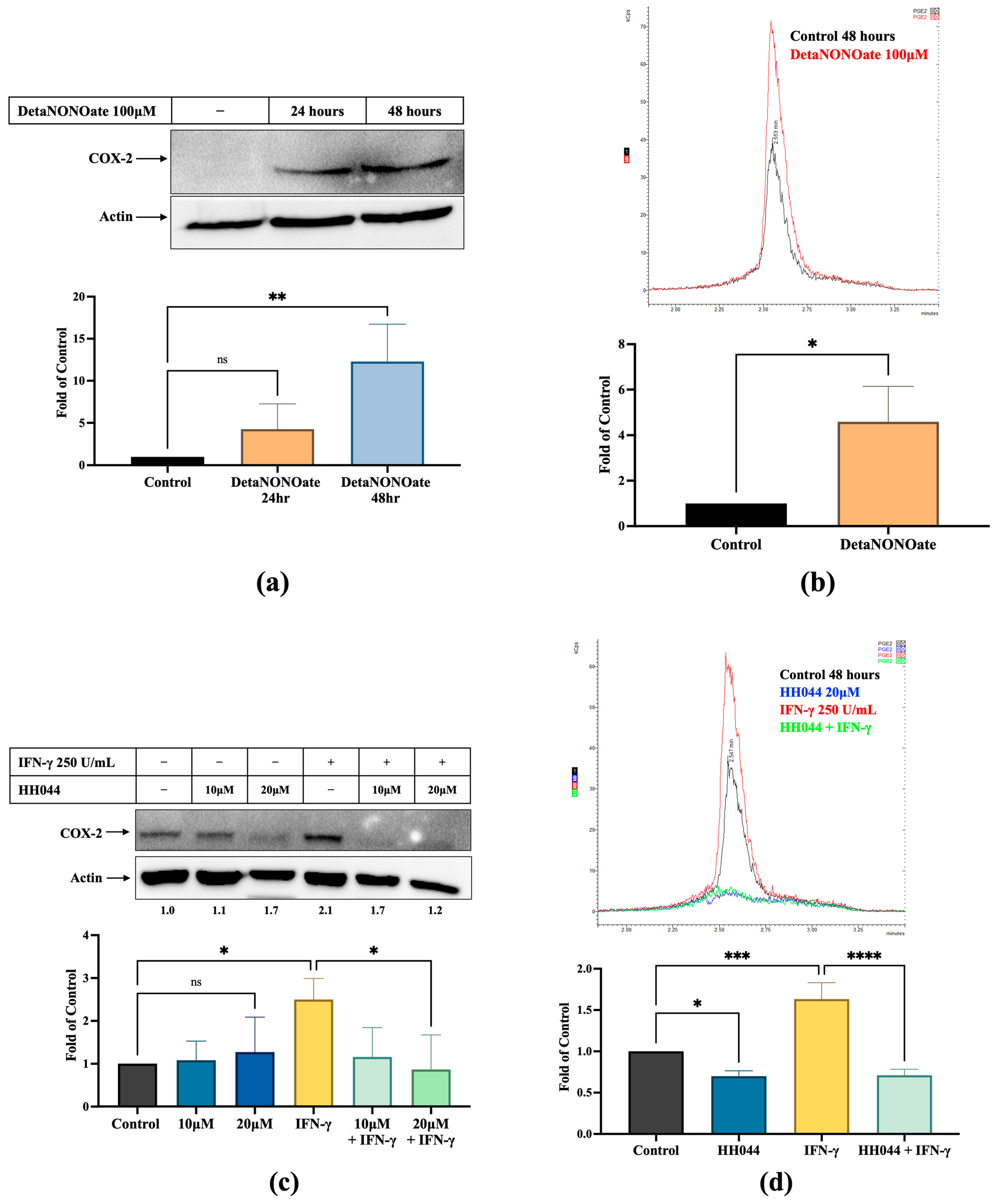 Cancers 17 00477 g004