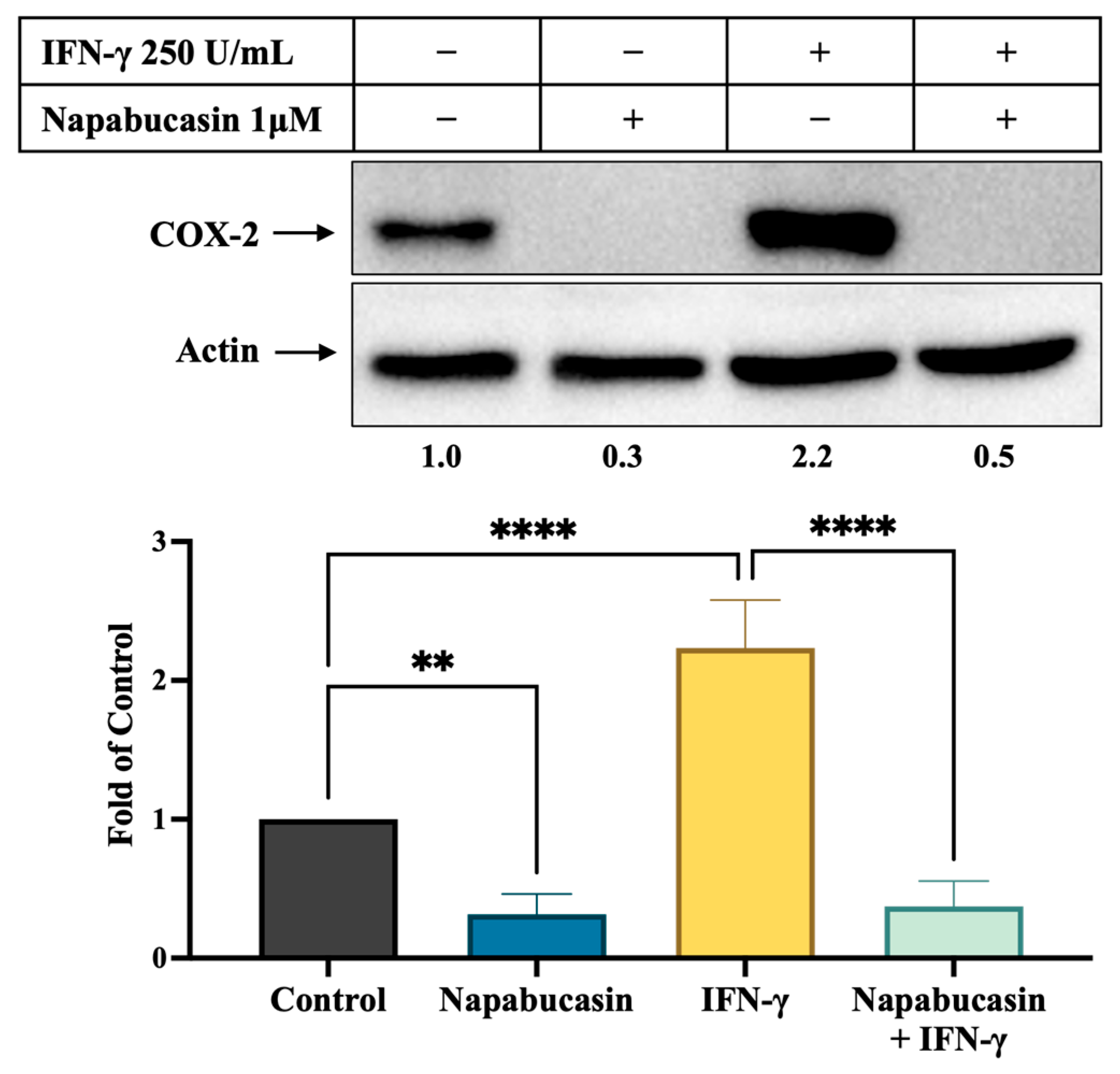 Cancers 17 00477 g005