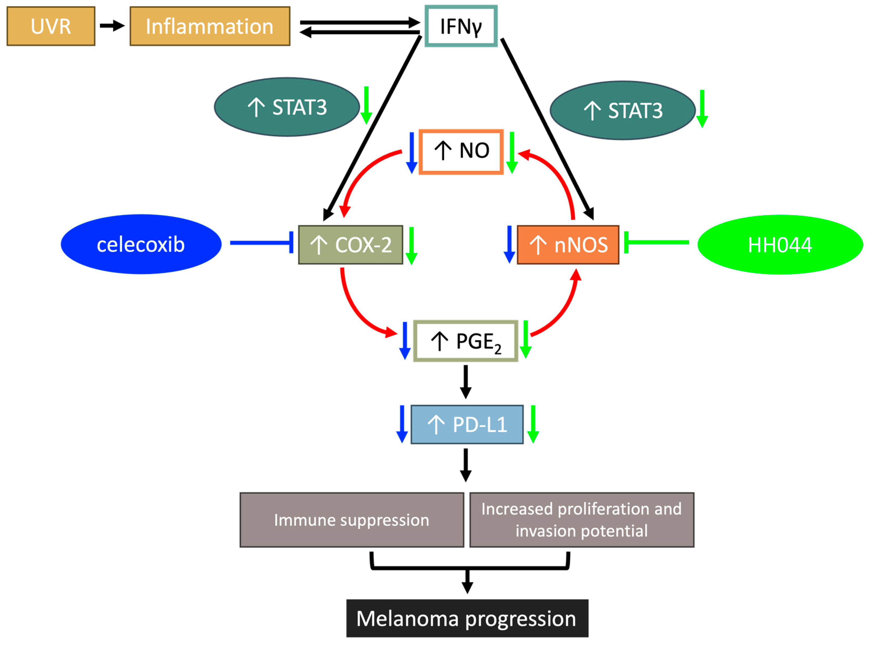 Cancers 17 00477 g009