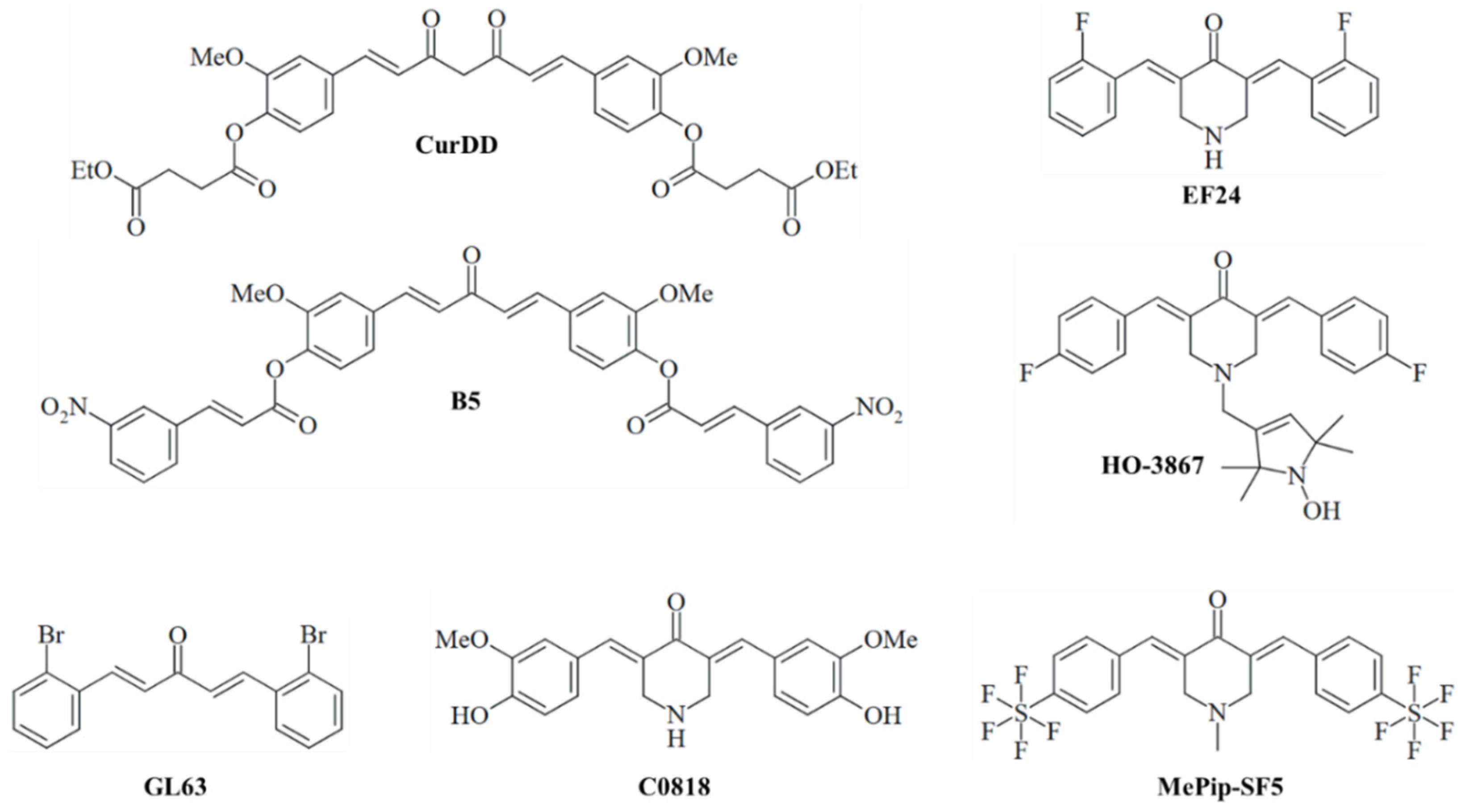 Cancers 17 00484 g003