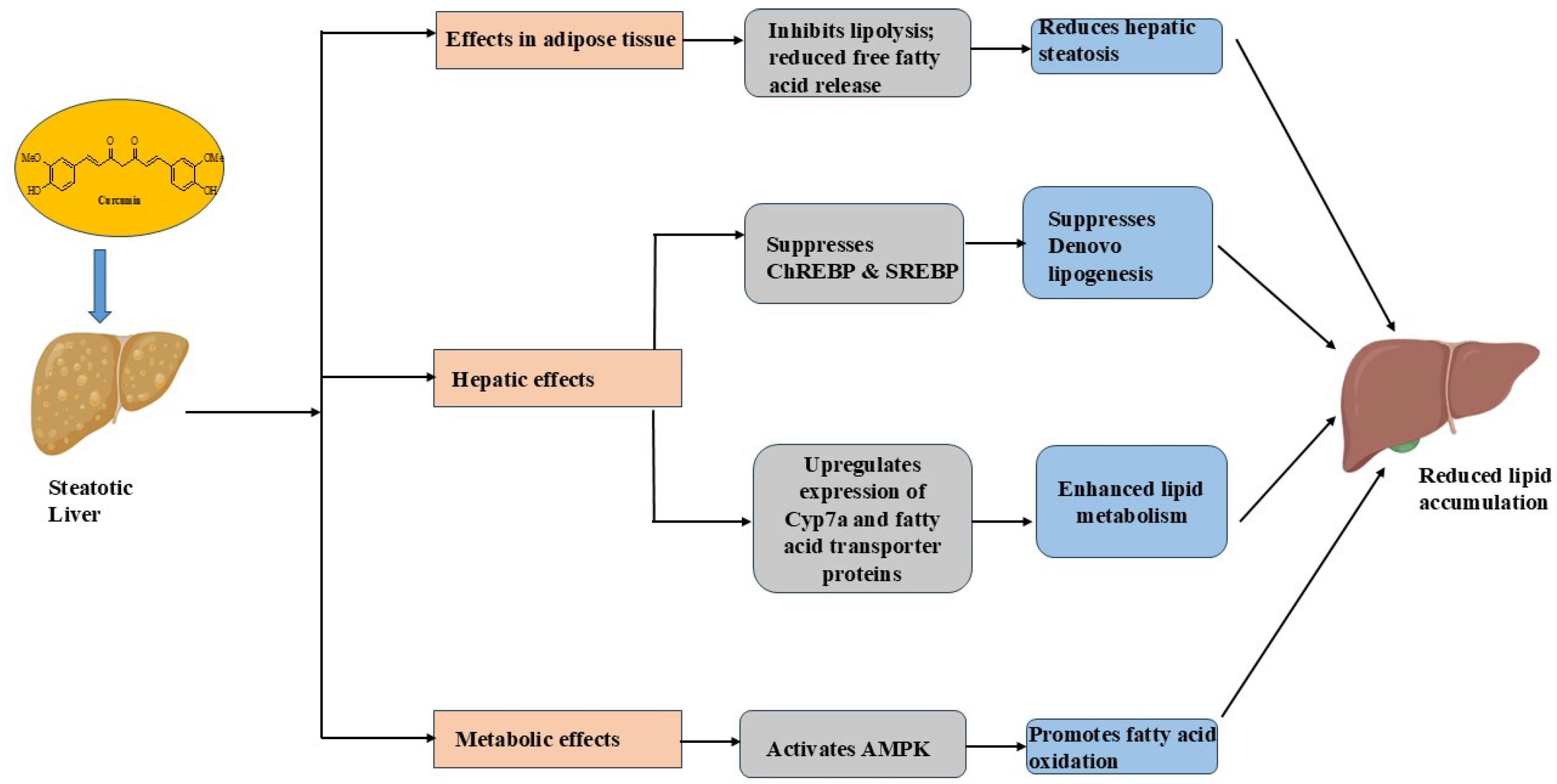 Cancers 17 00484 g004