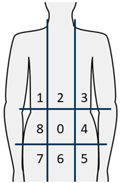 Cancers 17 00486 i001