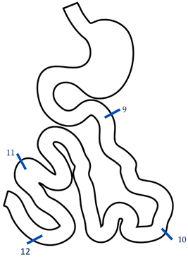 Cancers 17 00486 i002