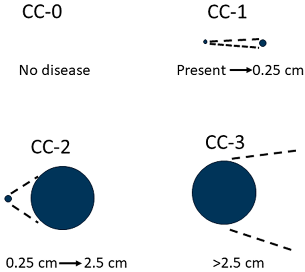 Cancers 17 00486 i003