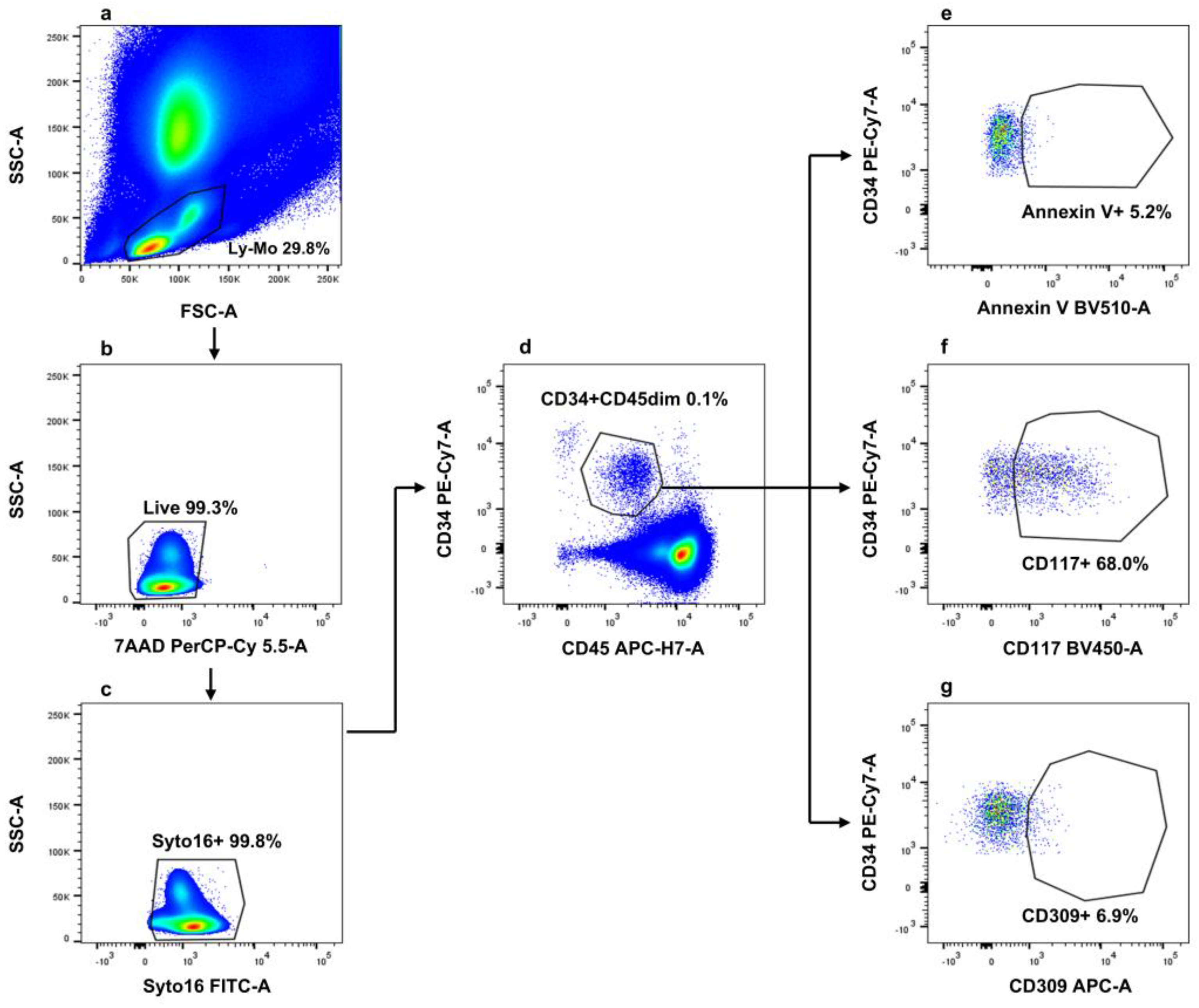 Cancers 17 00499 g002