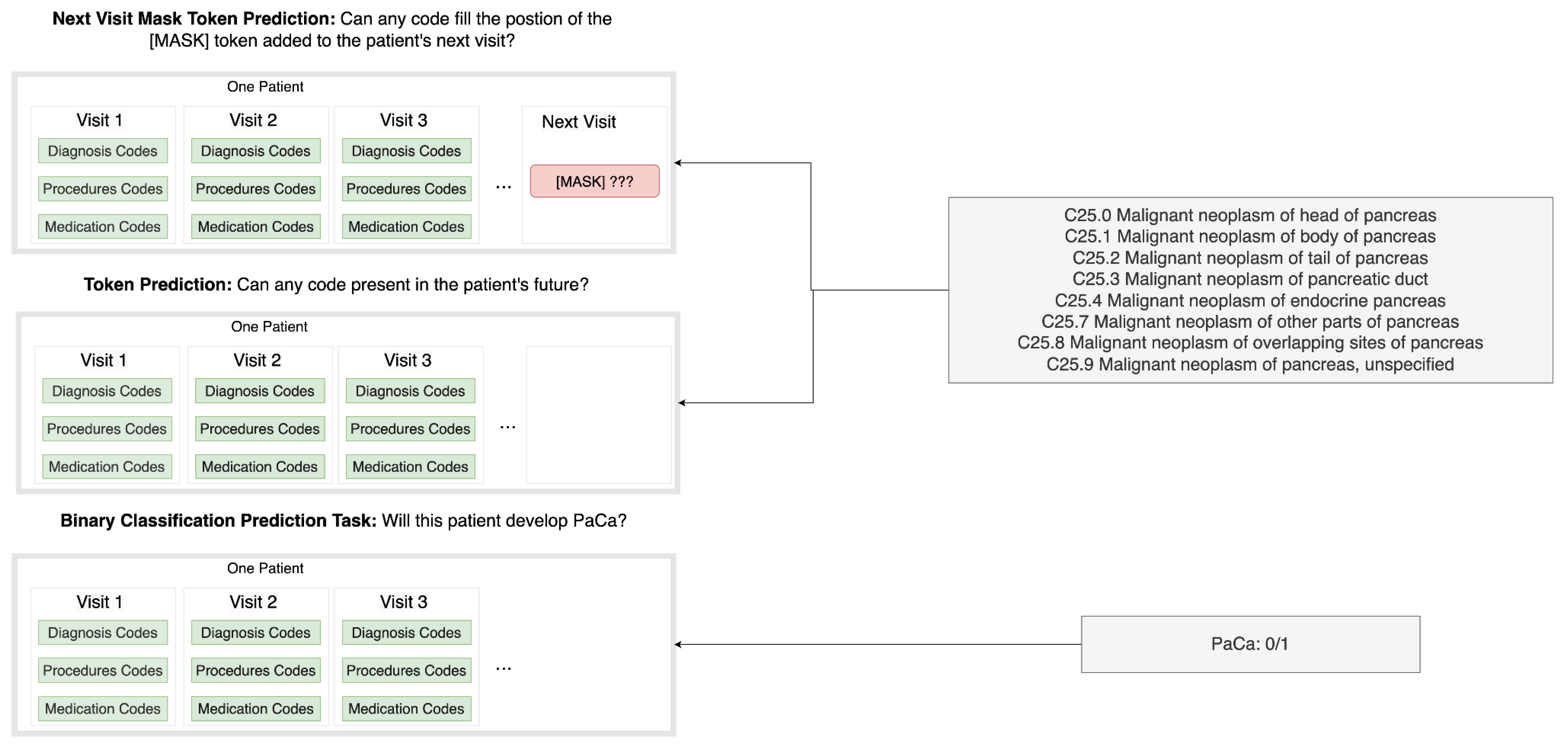 Cancers 17 00516 g001