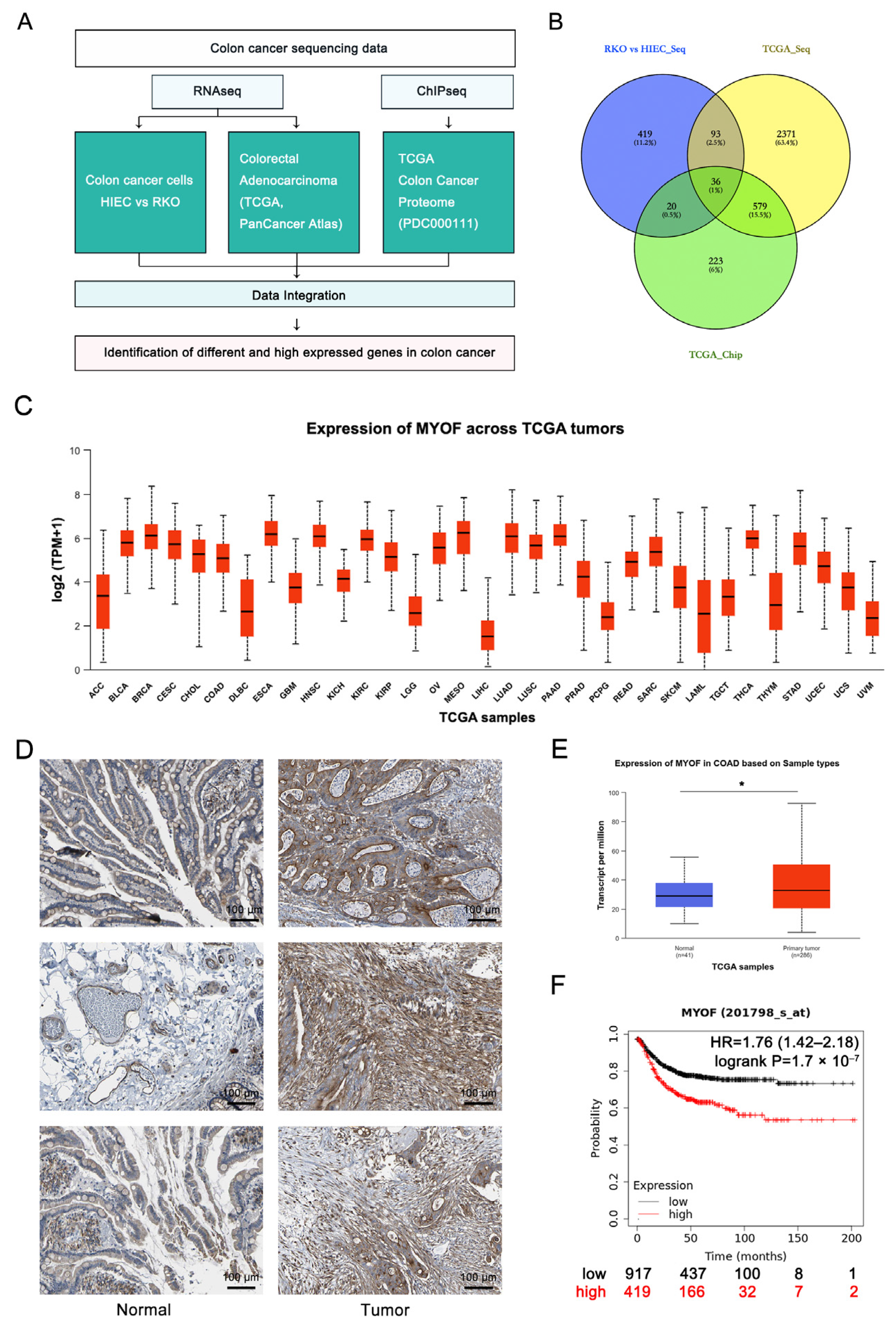 Cancers 17 00524 g001