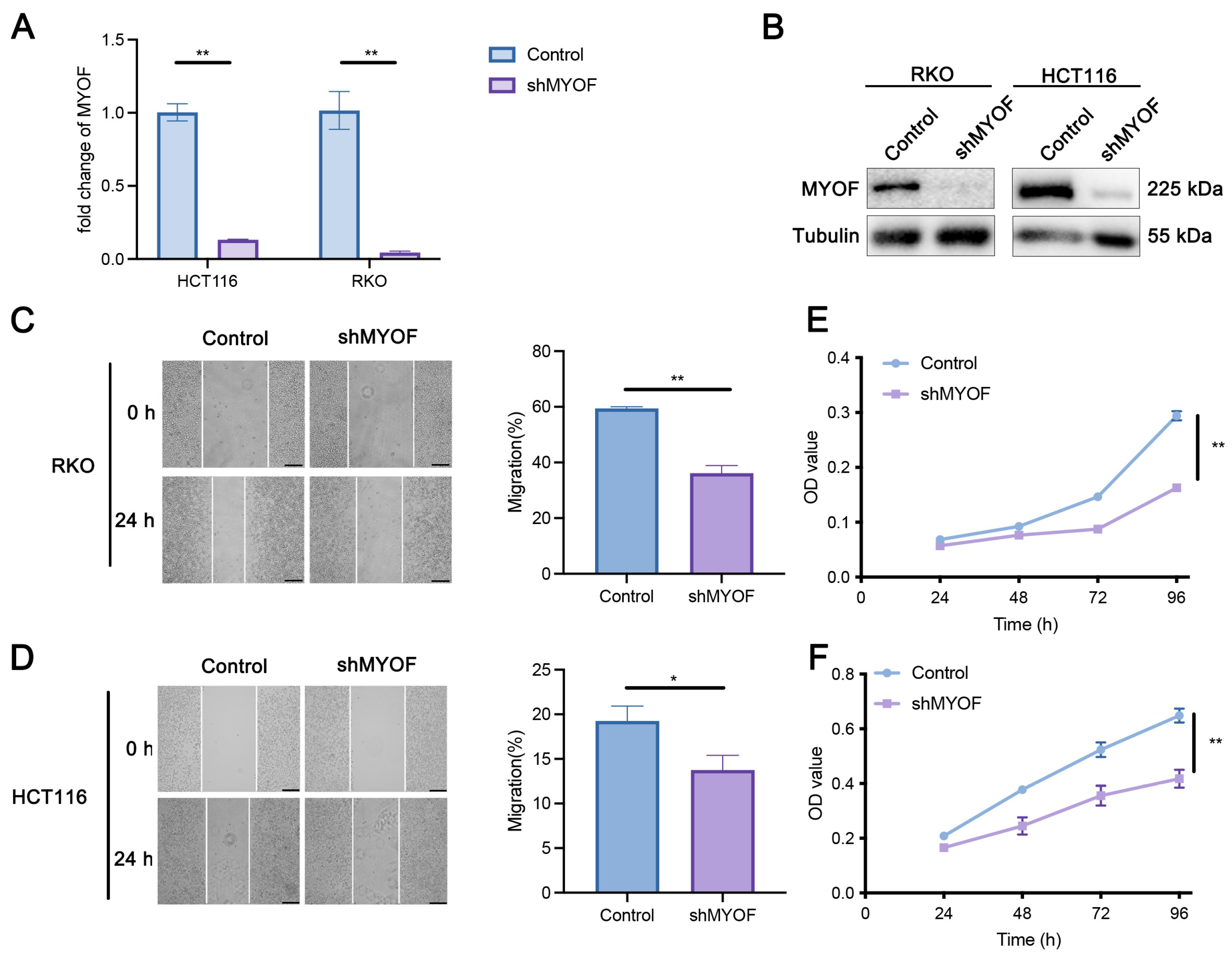 Cancers 17 00524 g002