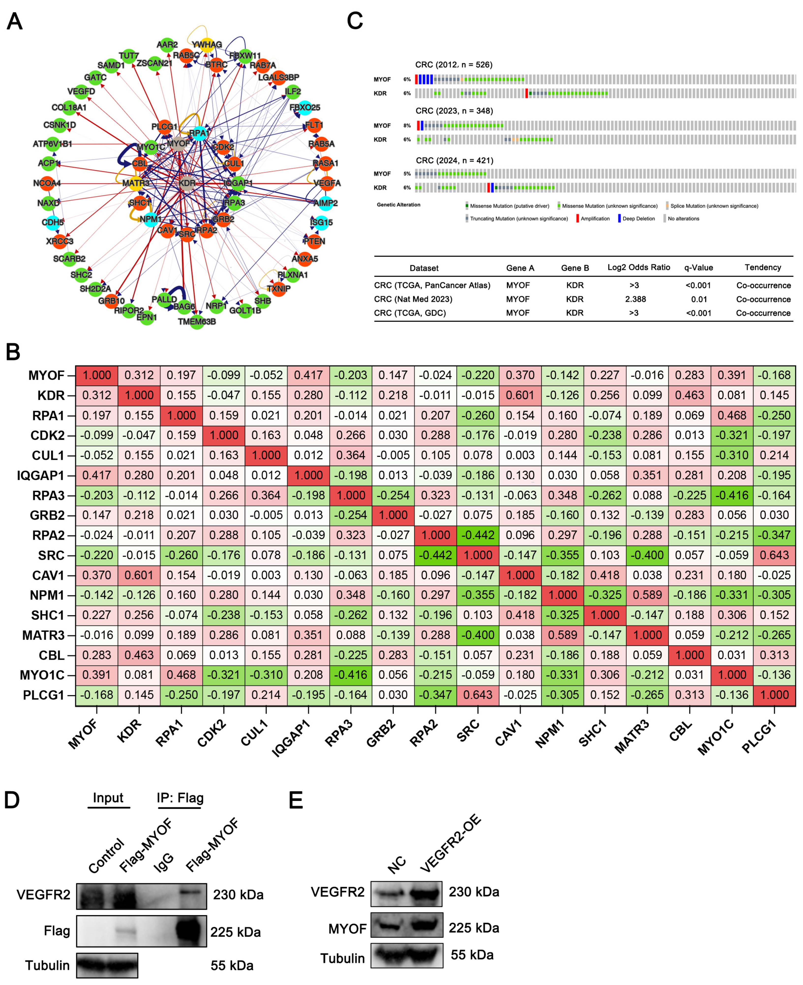 Cancers 17 00524 g003