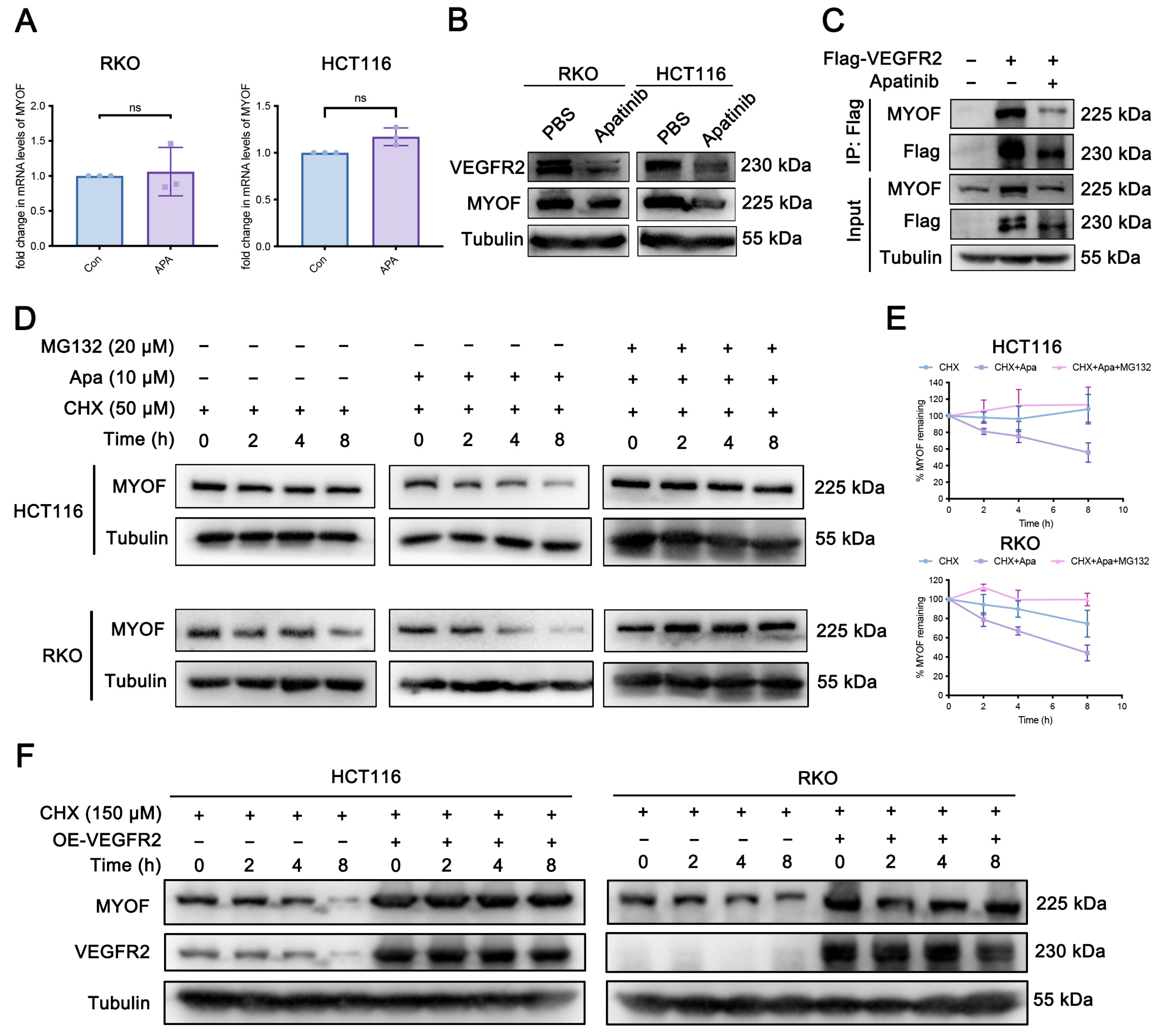 Cancers 17 00524 g004