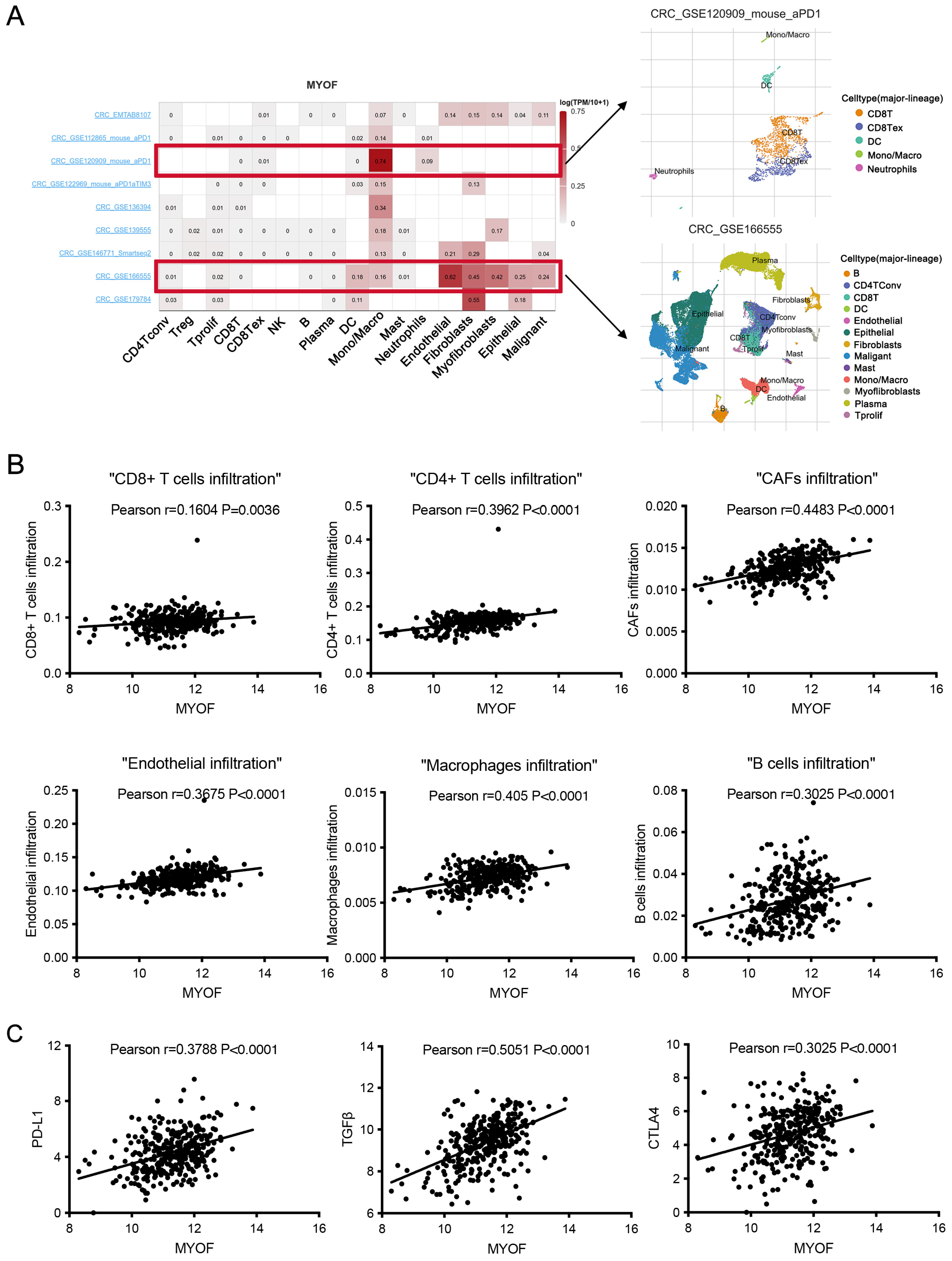 Cancers 17 00524 g005