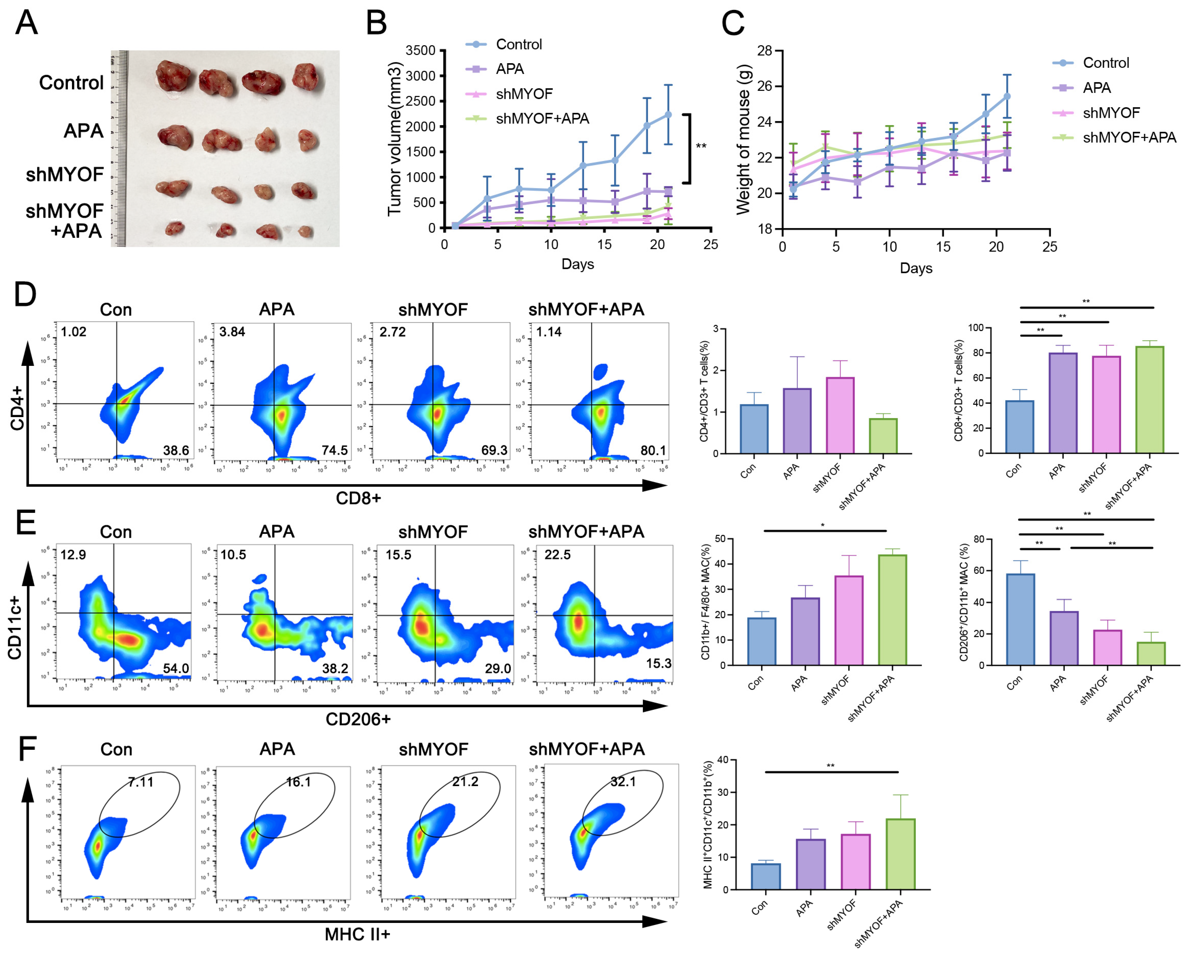 Cancers 17 00524 g007