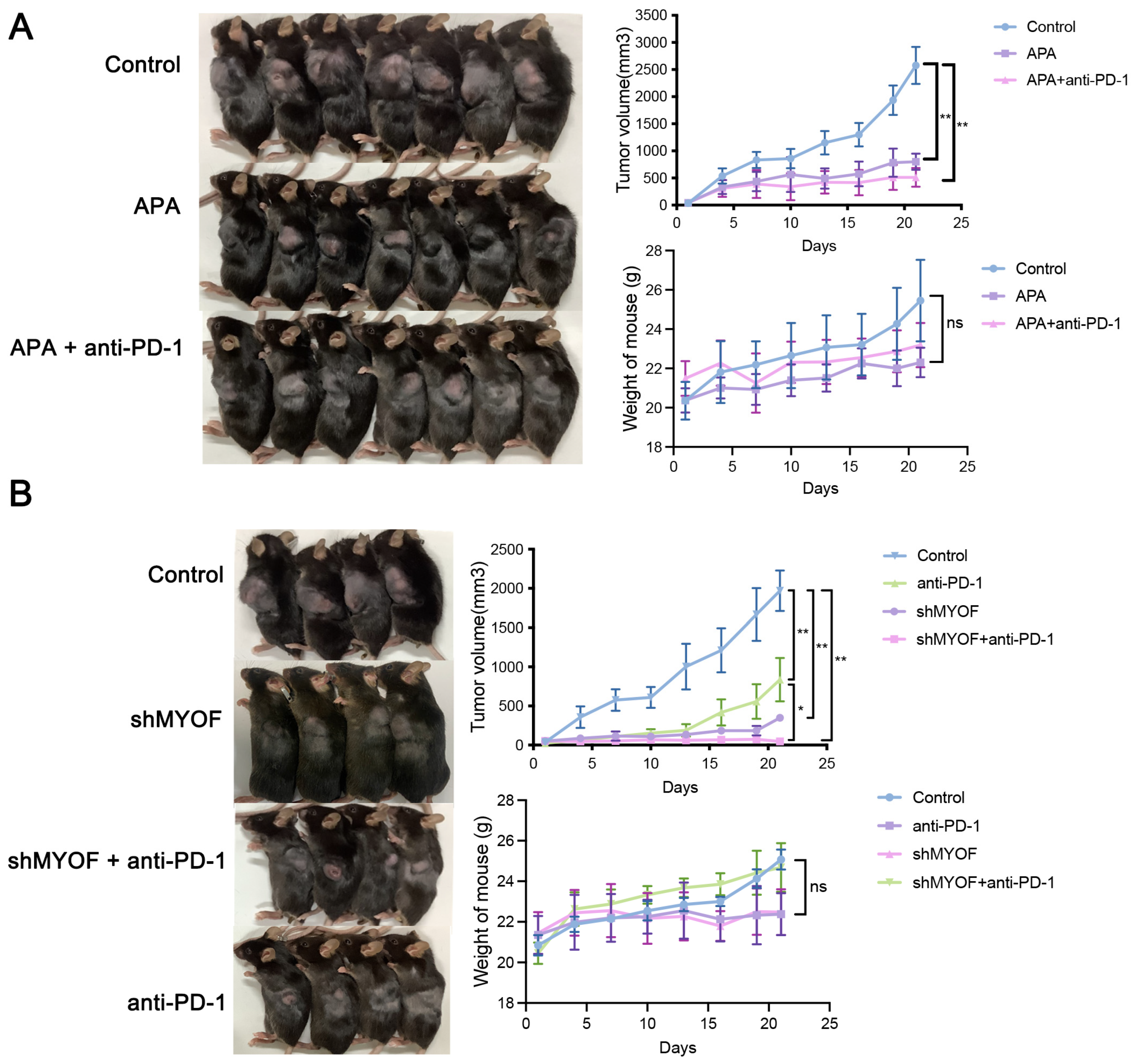Cancers 17 00524 g008