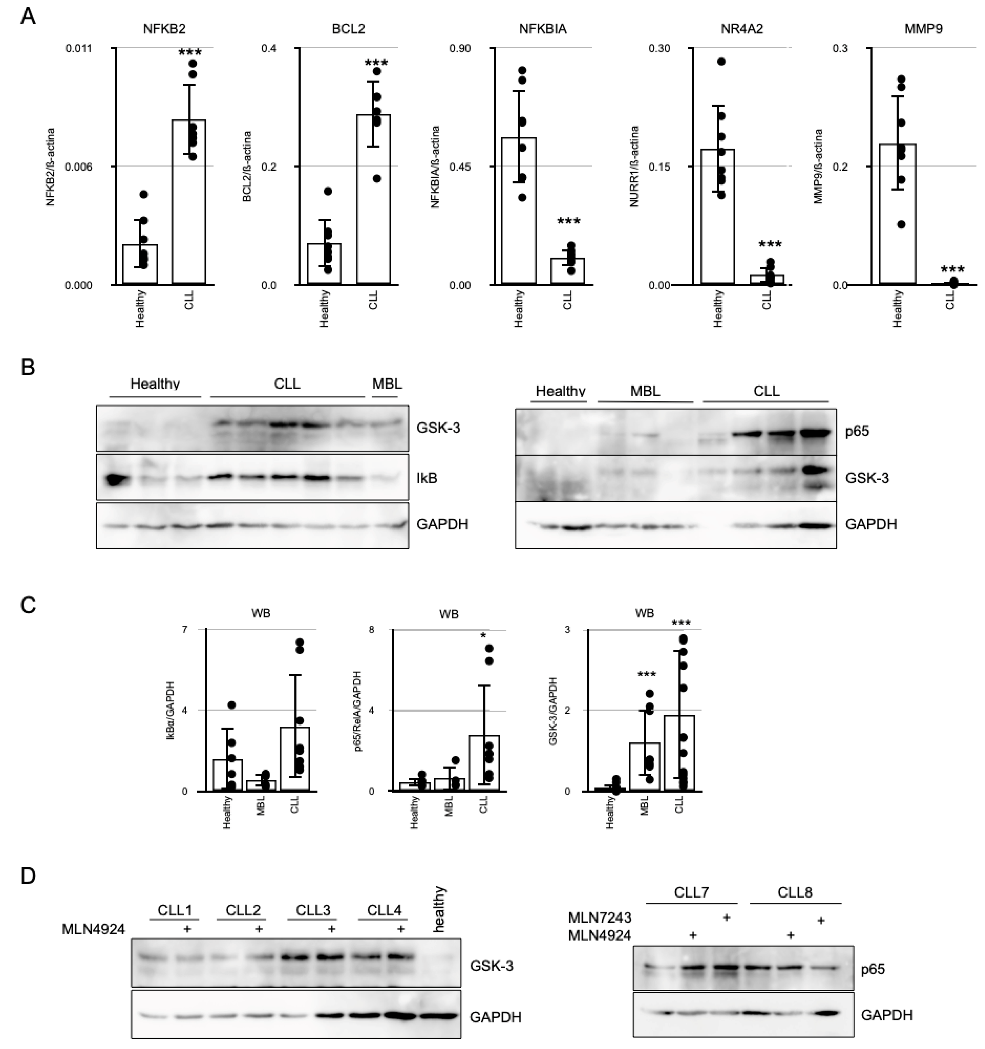 Cancers 17 00533 g001