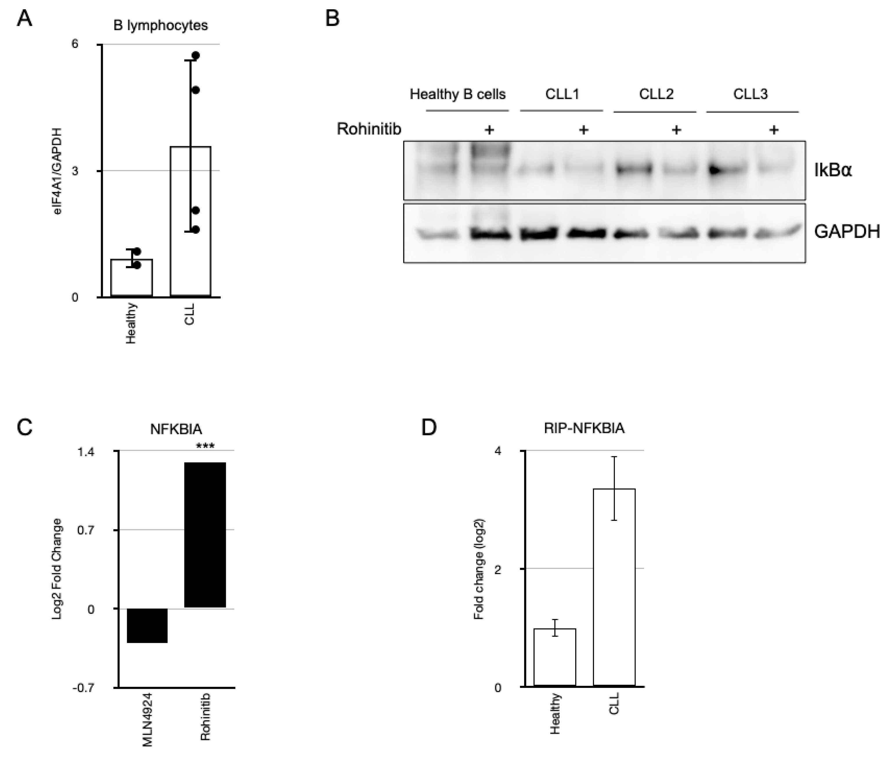 Cancers 17 00533 g002