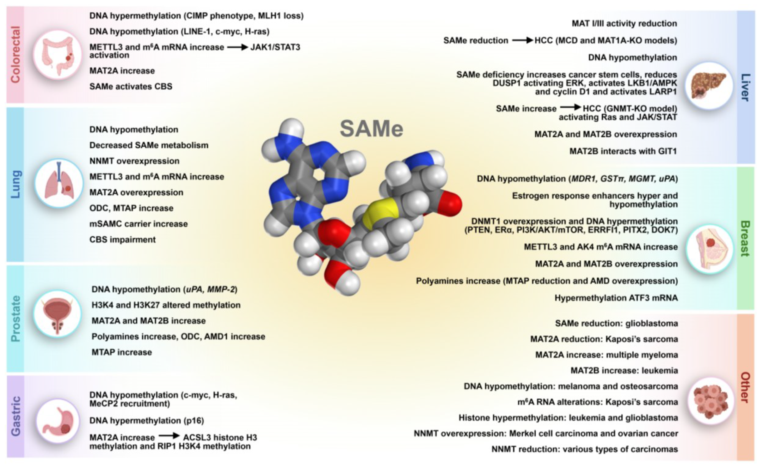 Cancers 17 00535 g002