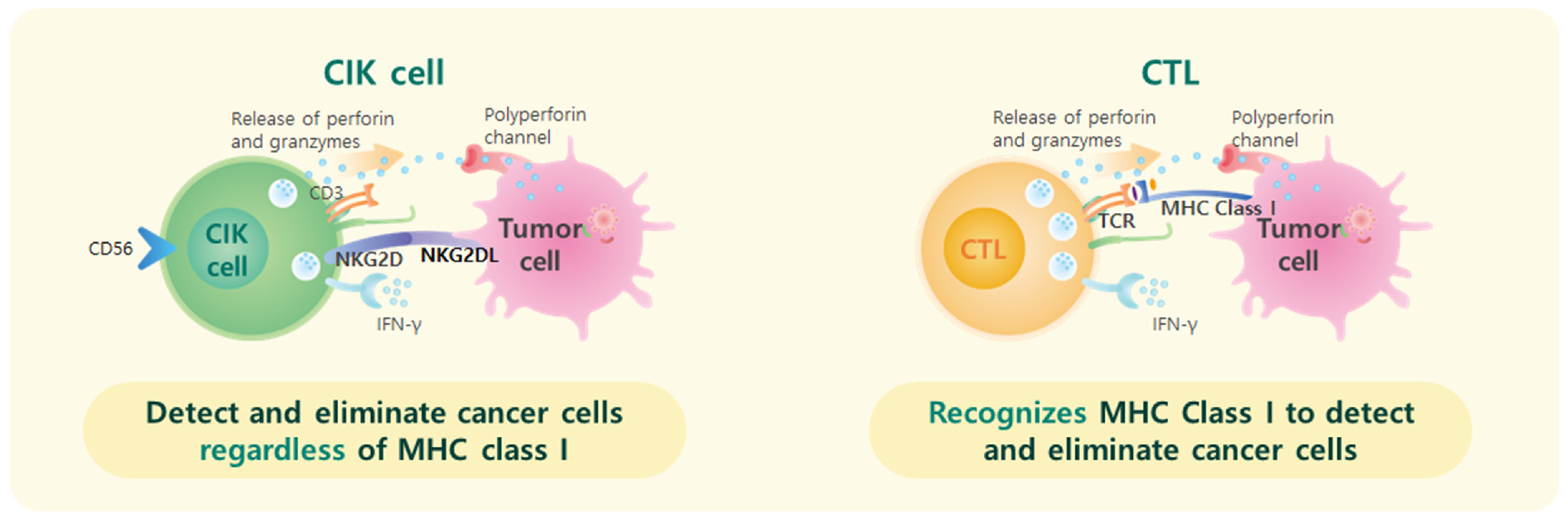 Cancers 17 00566 g001