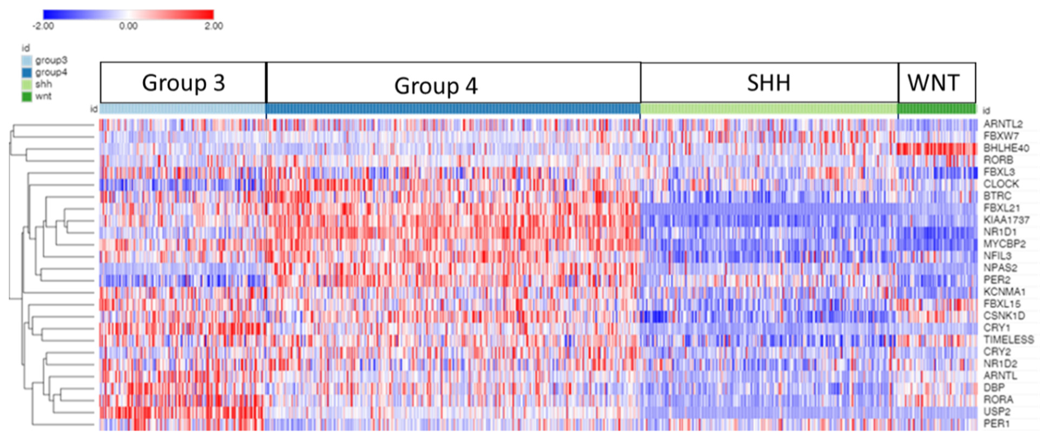 Cancers 17 00575 g002