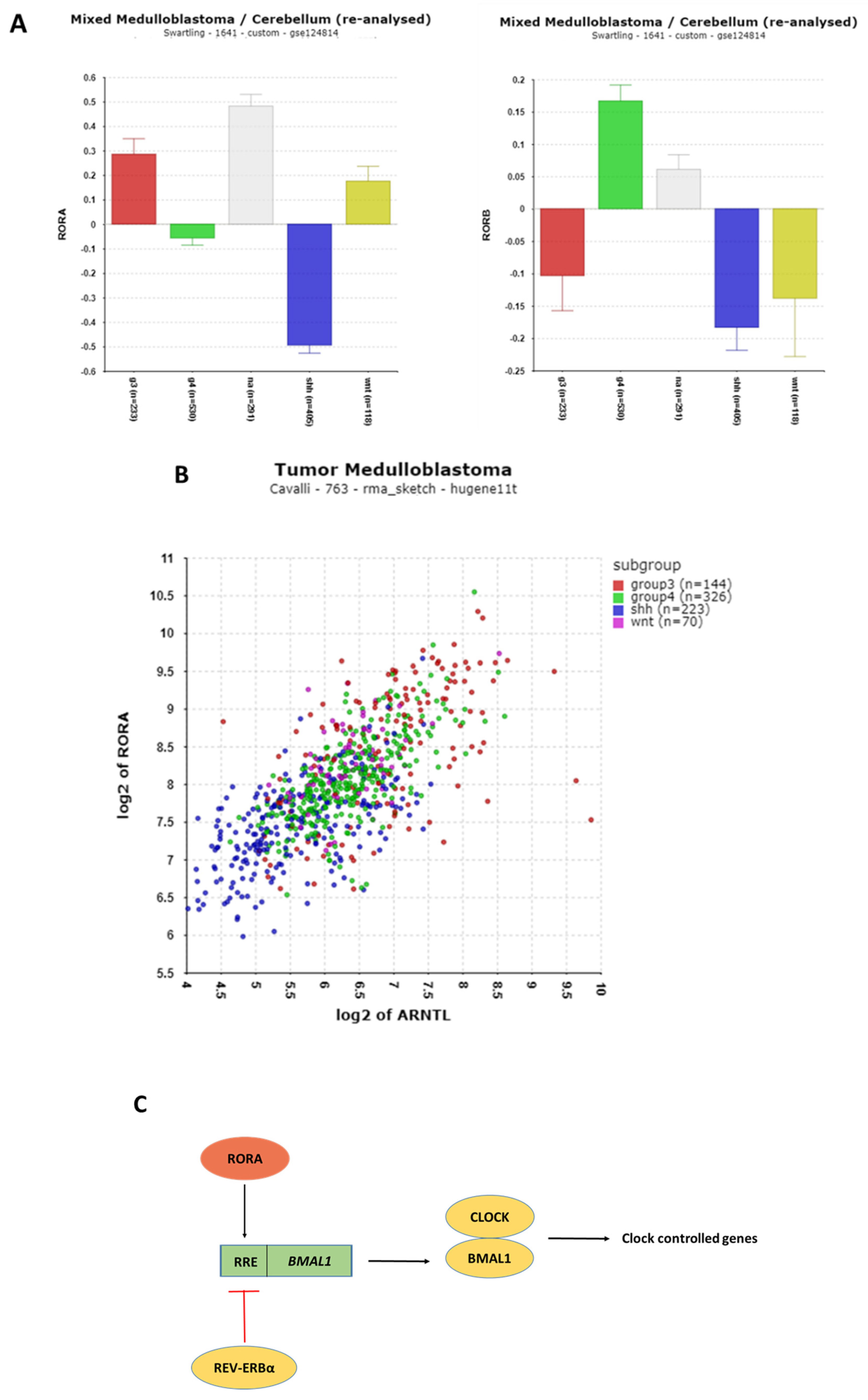 Cancers 17 00575 g008