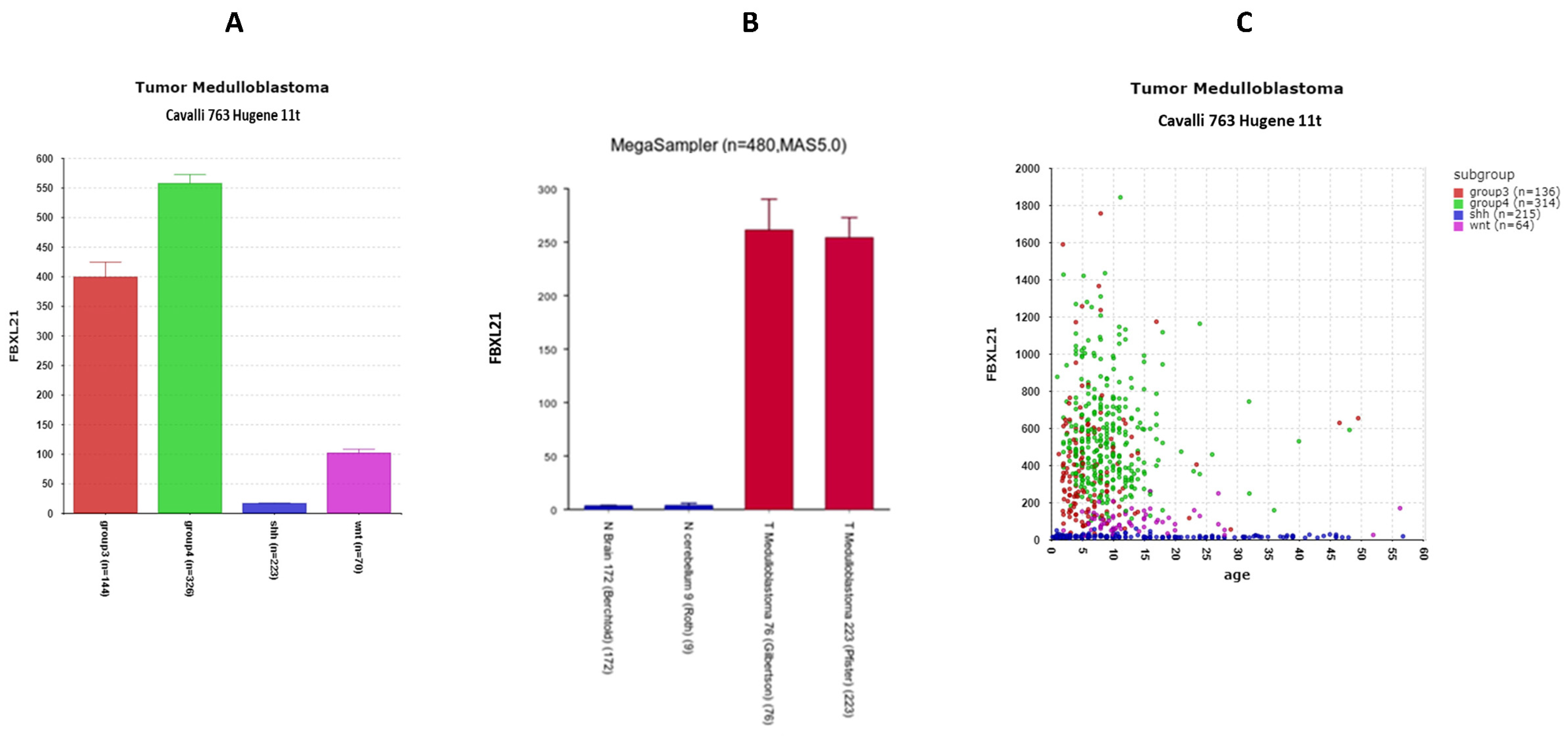 Cancers 17 00575 g013