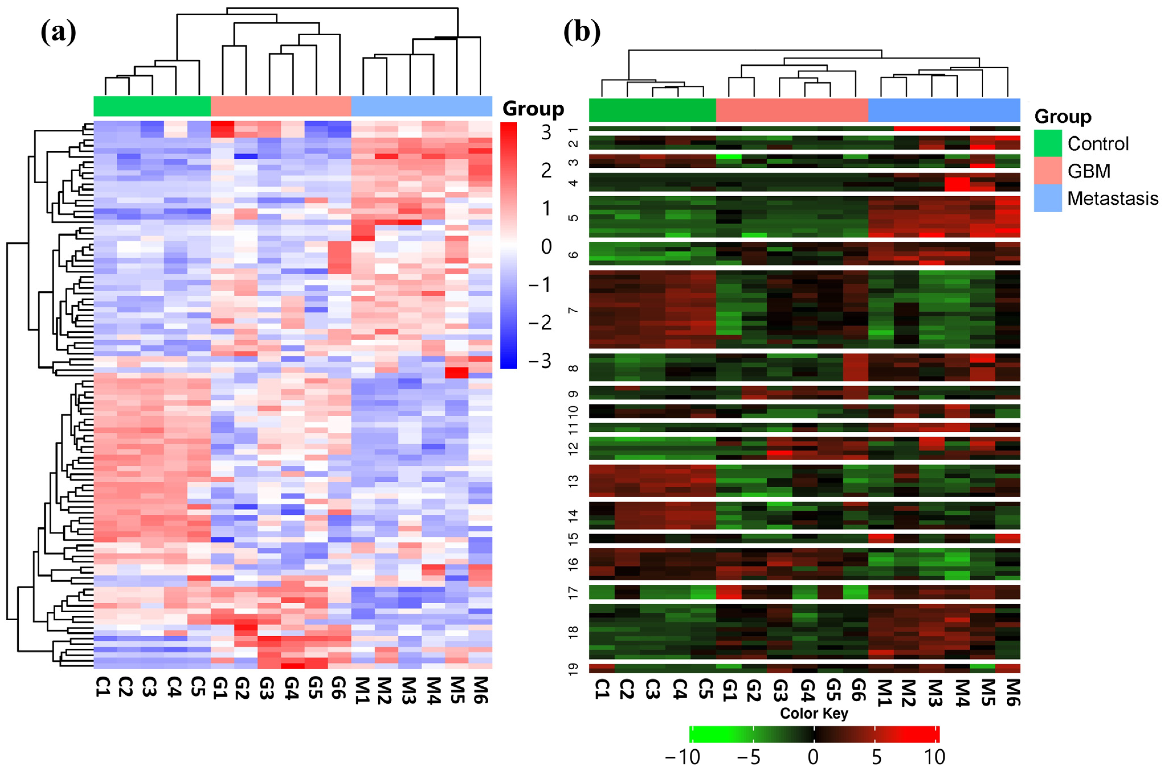 Cancers 17 00581 g001