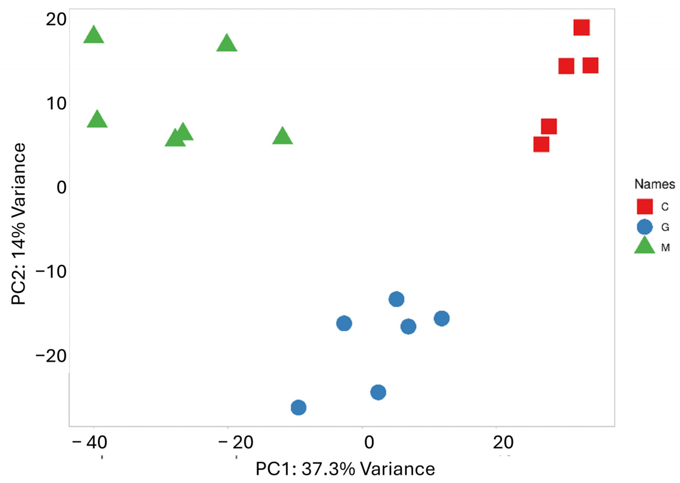 Cancers 17 00581 g002