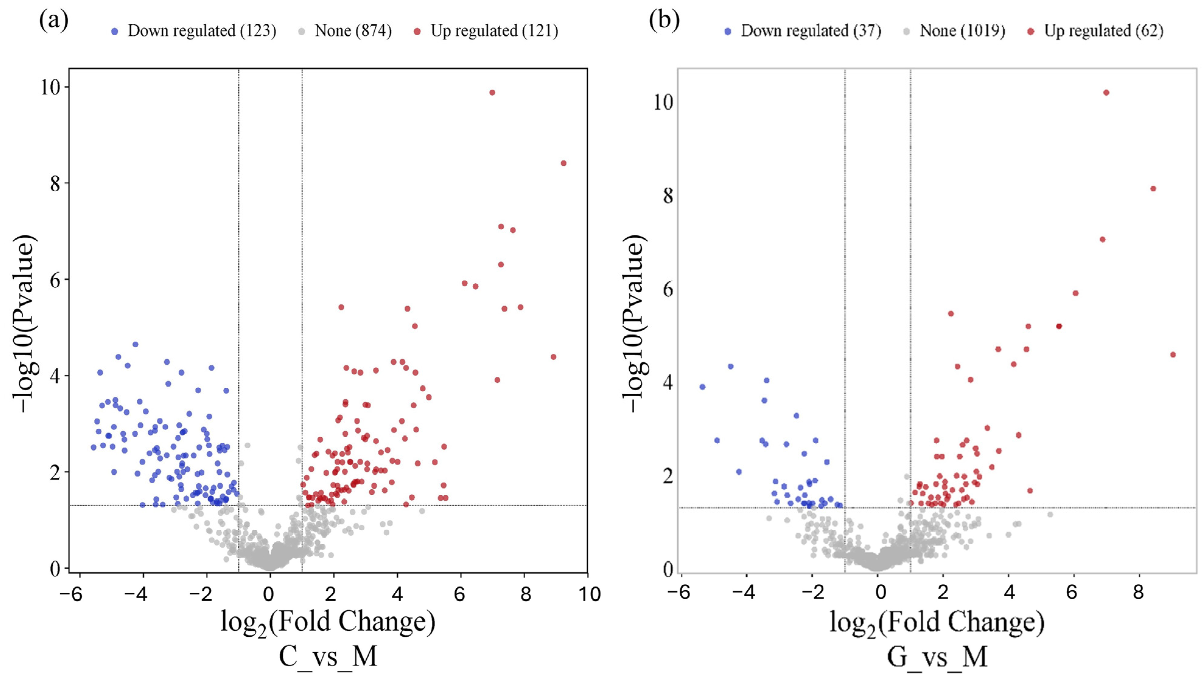 Cancers 17 00581 g003