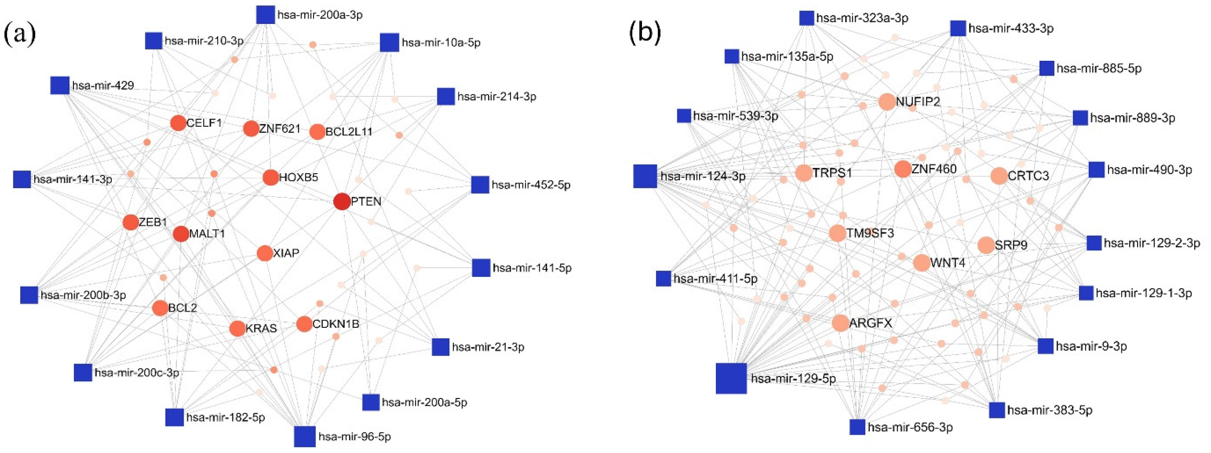Cancers 17 00581 g005