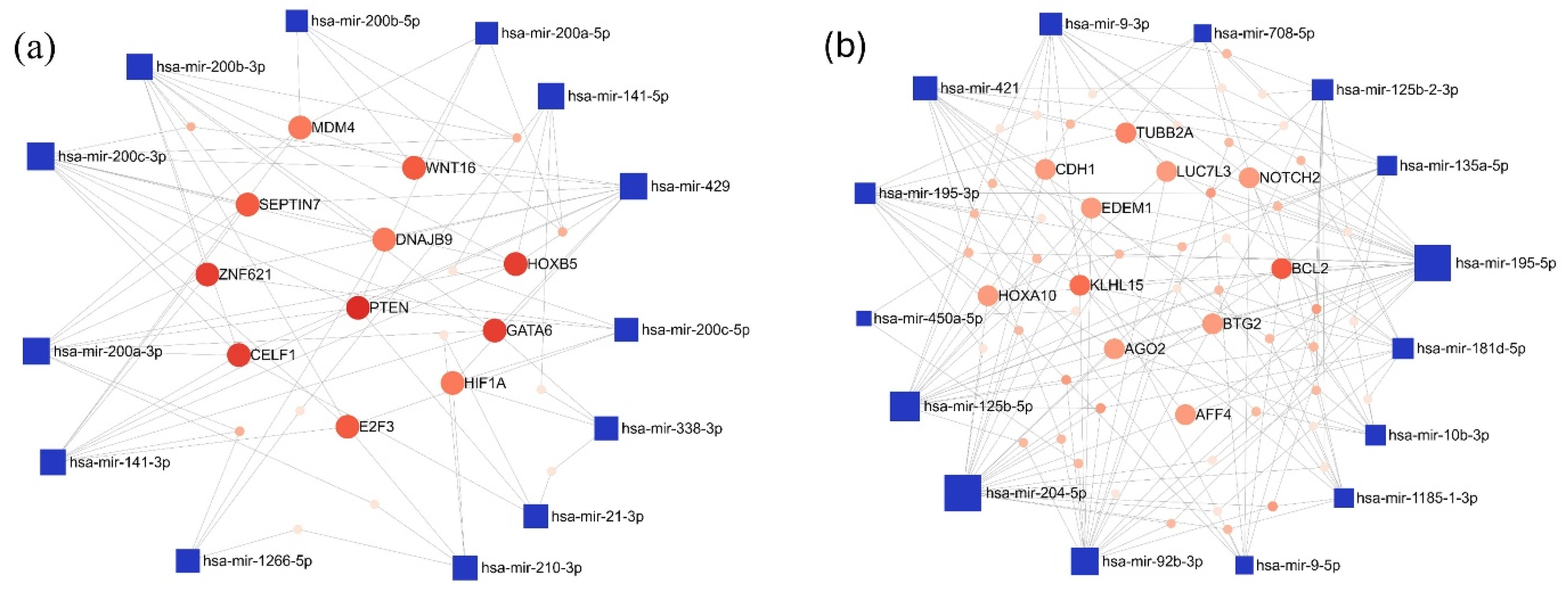 Cancers 17 00581 g006