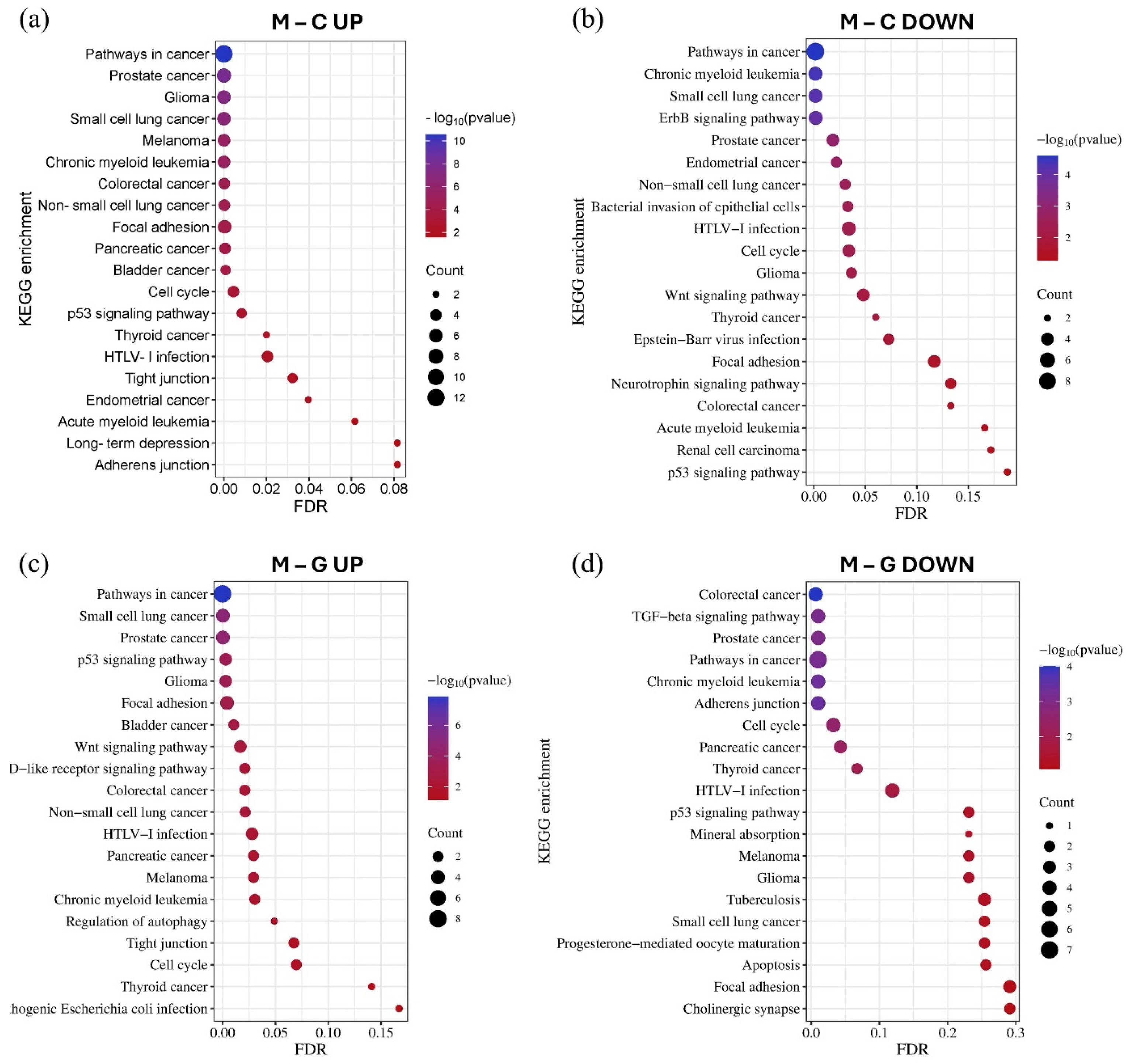 Cancers 17 00581 g007