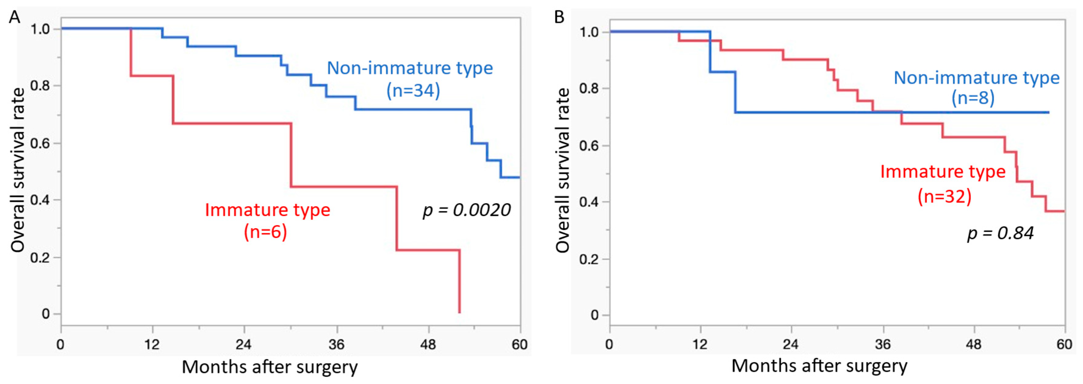Cancers 17 00583 g002