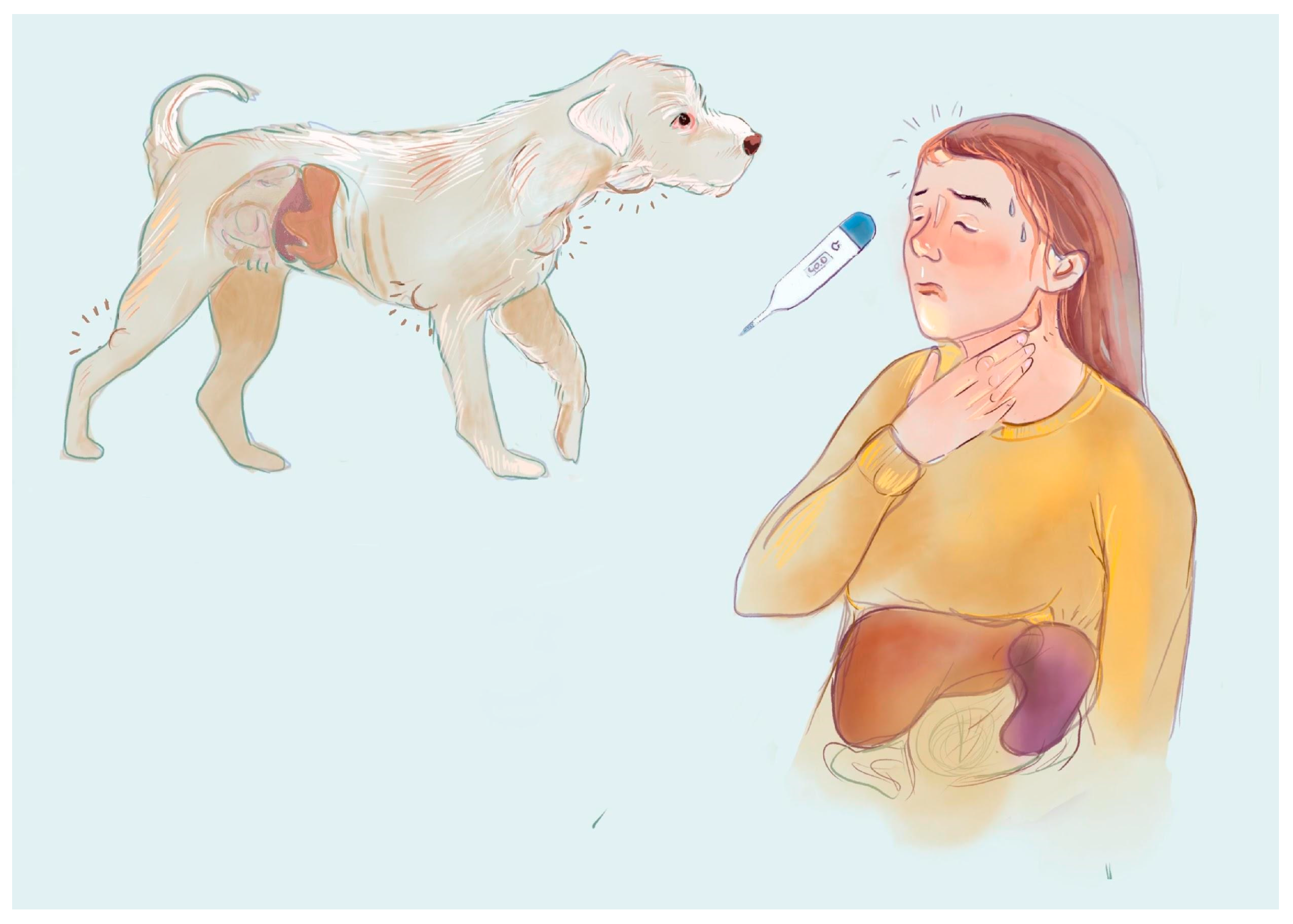 Cancers 17 00596 g001