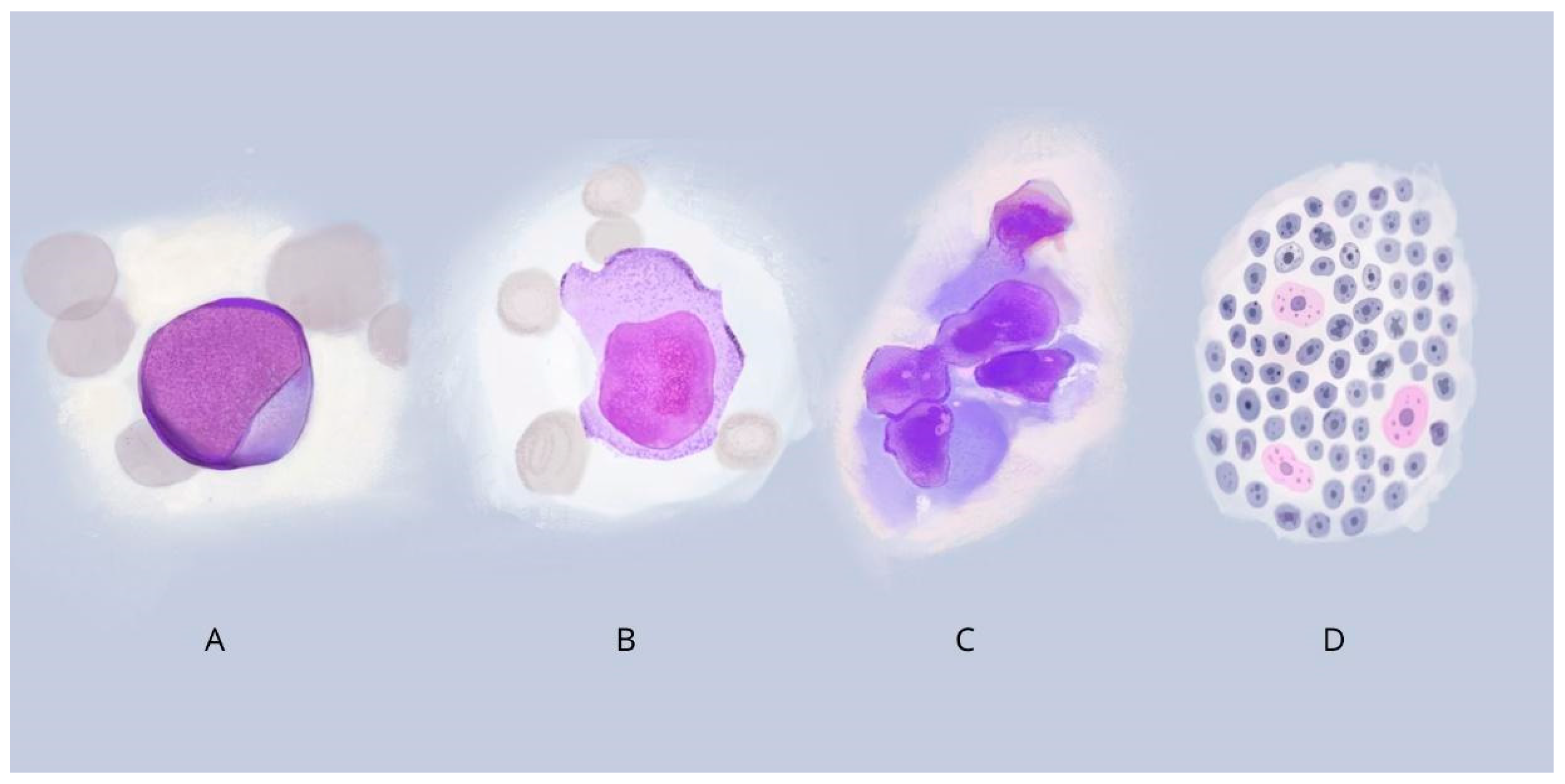 Cancers 17 00596 g002