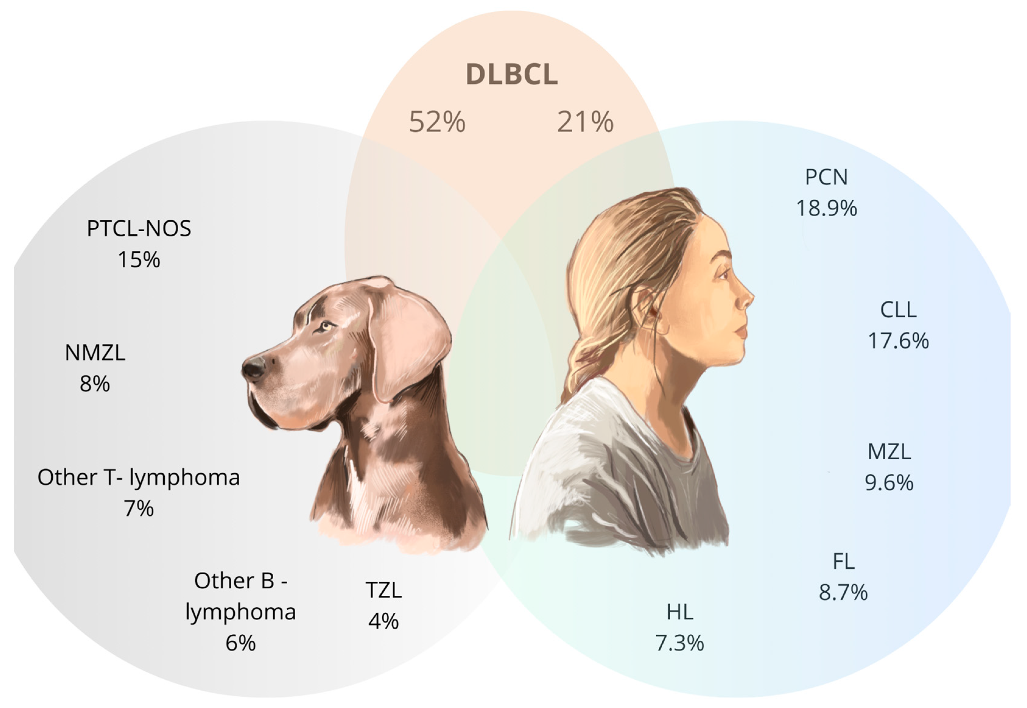Cancers 17 00596 g003