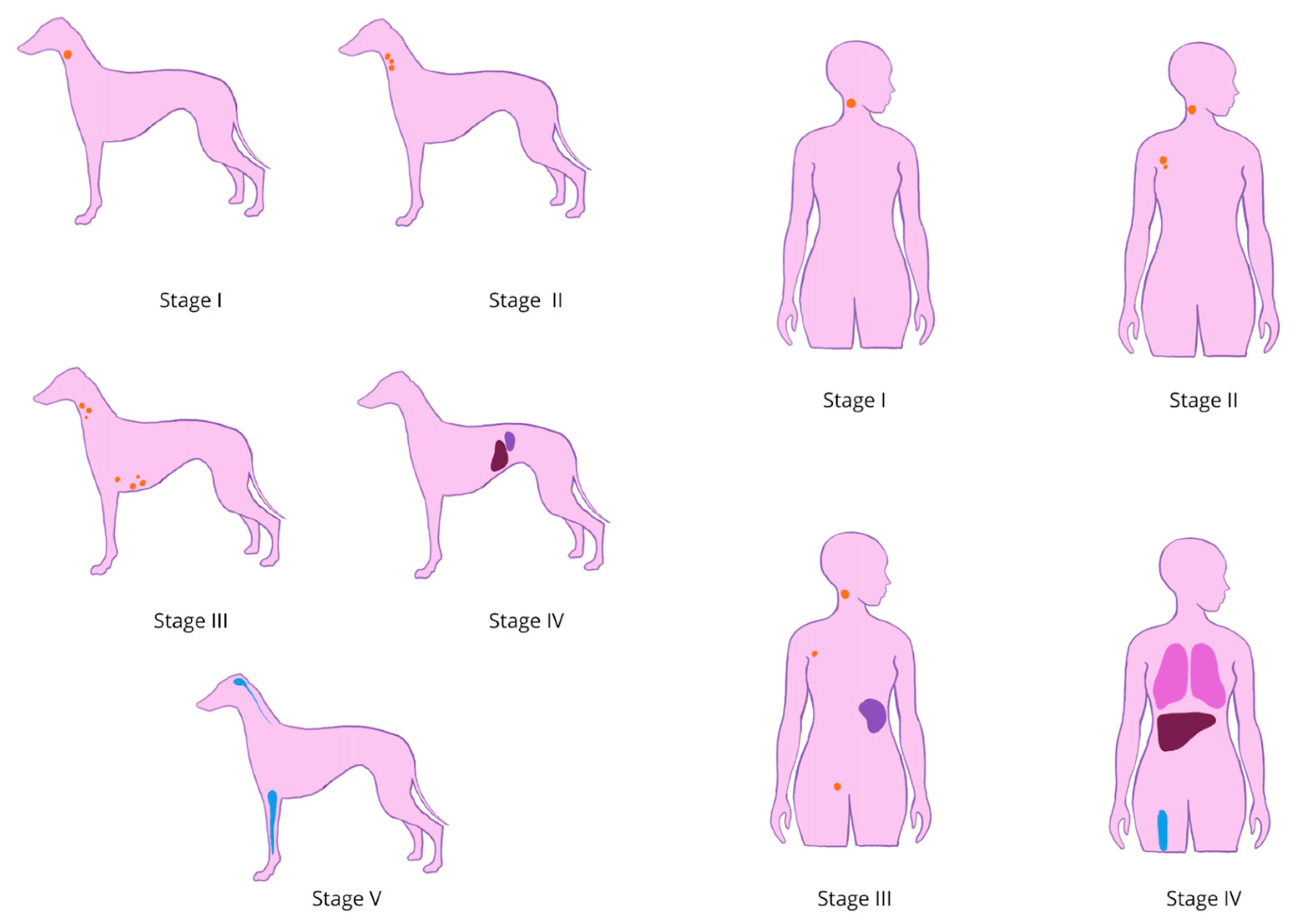 Cancers 17 00596 g004