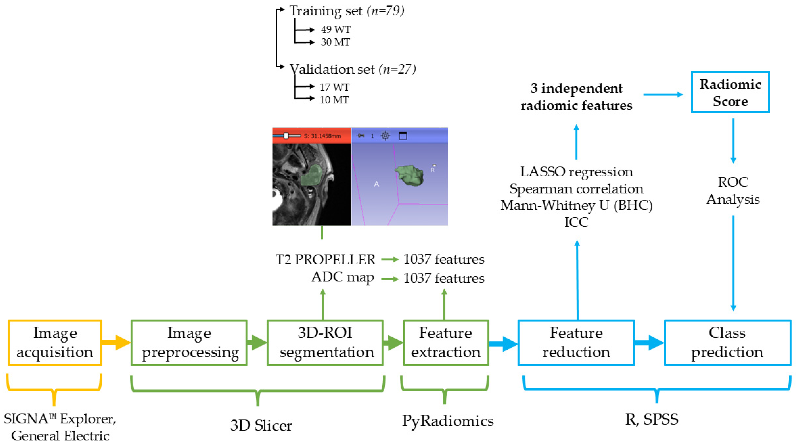 Cancers 17 00620 g003