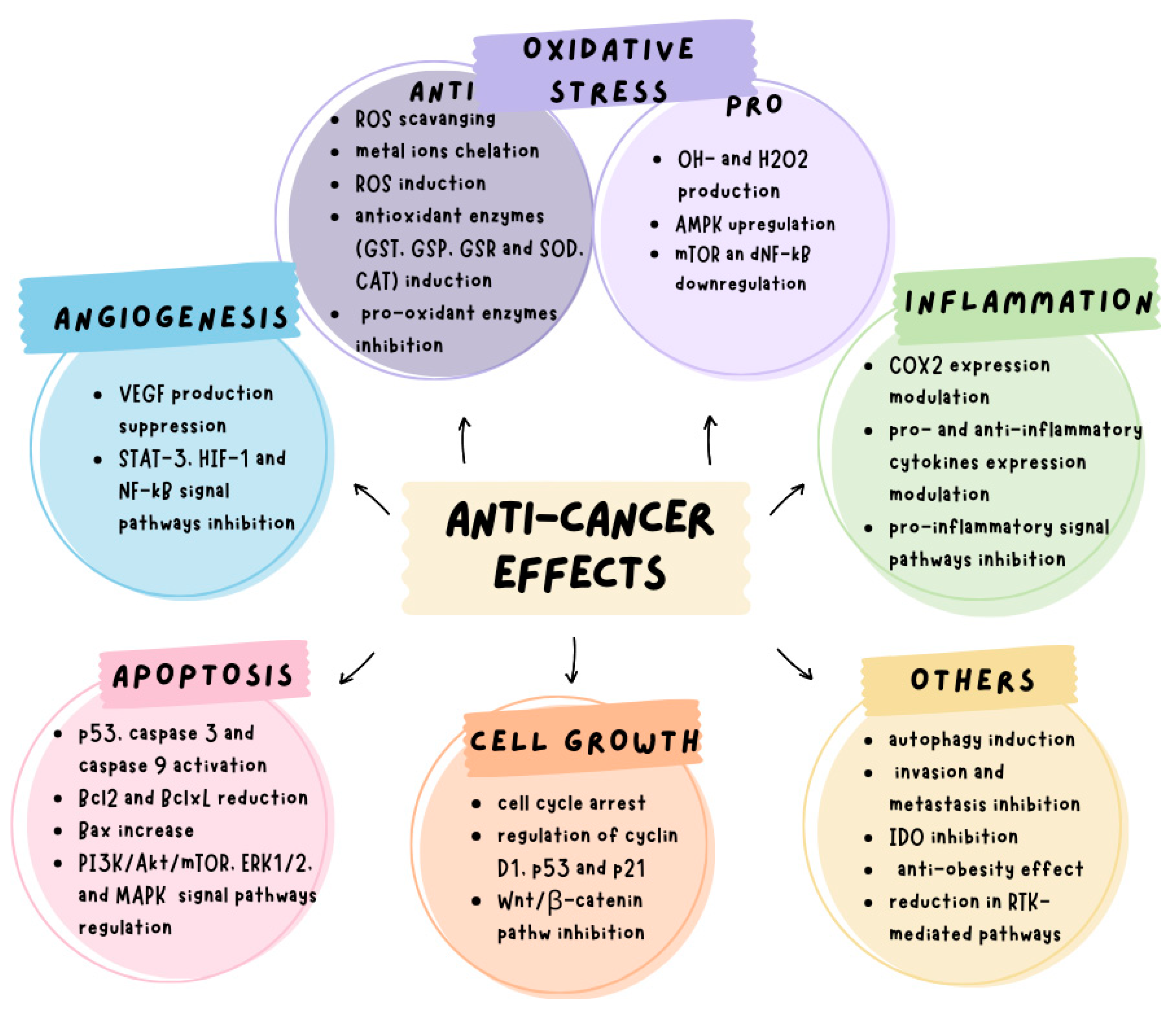 Cancers 17 00623 g004 Cancers 17 00623 g004
