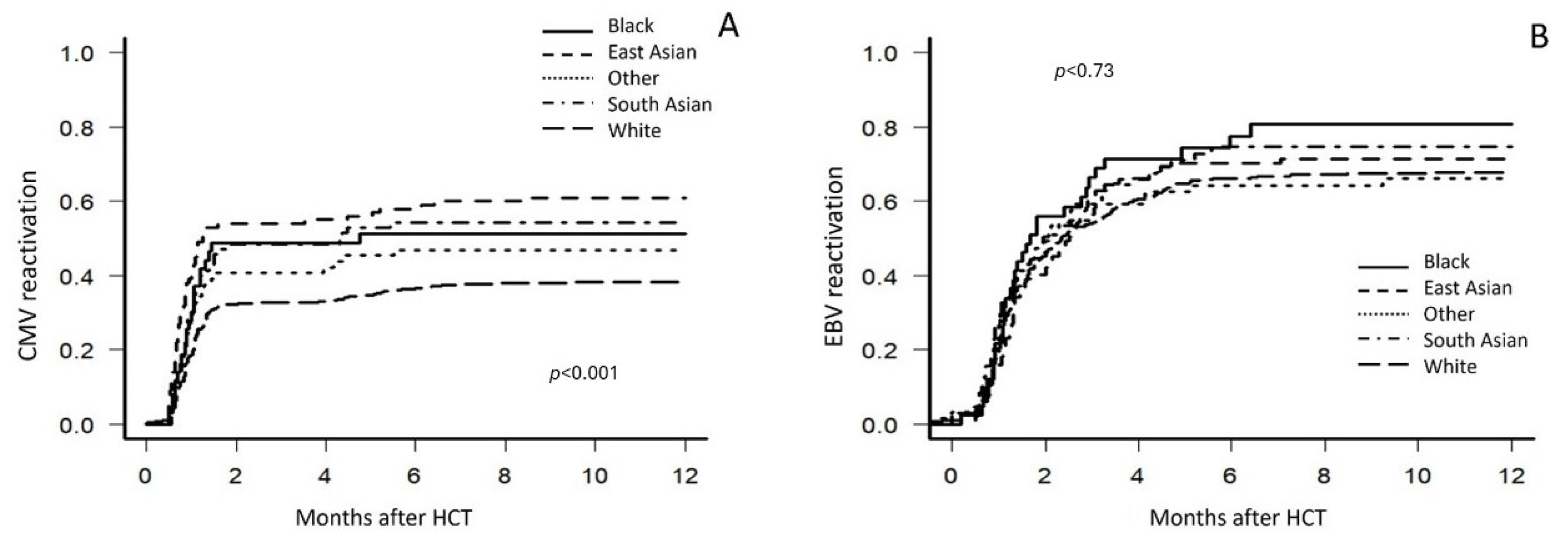 Cancers 17 00651 g003