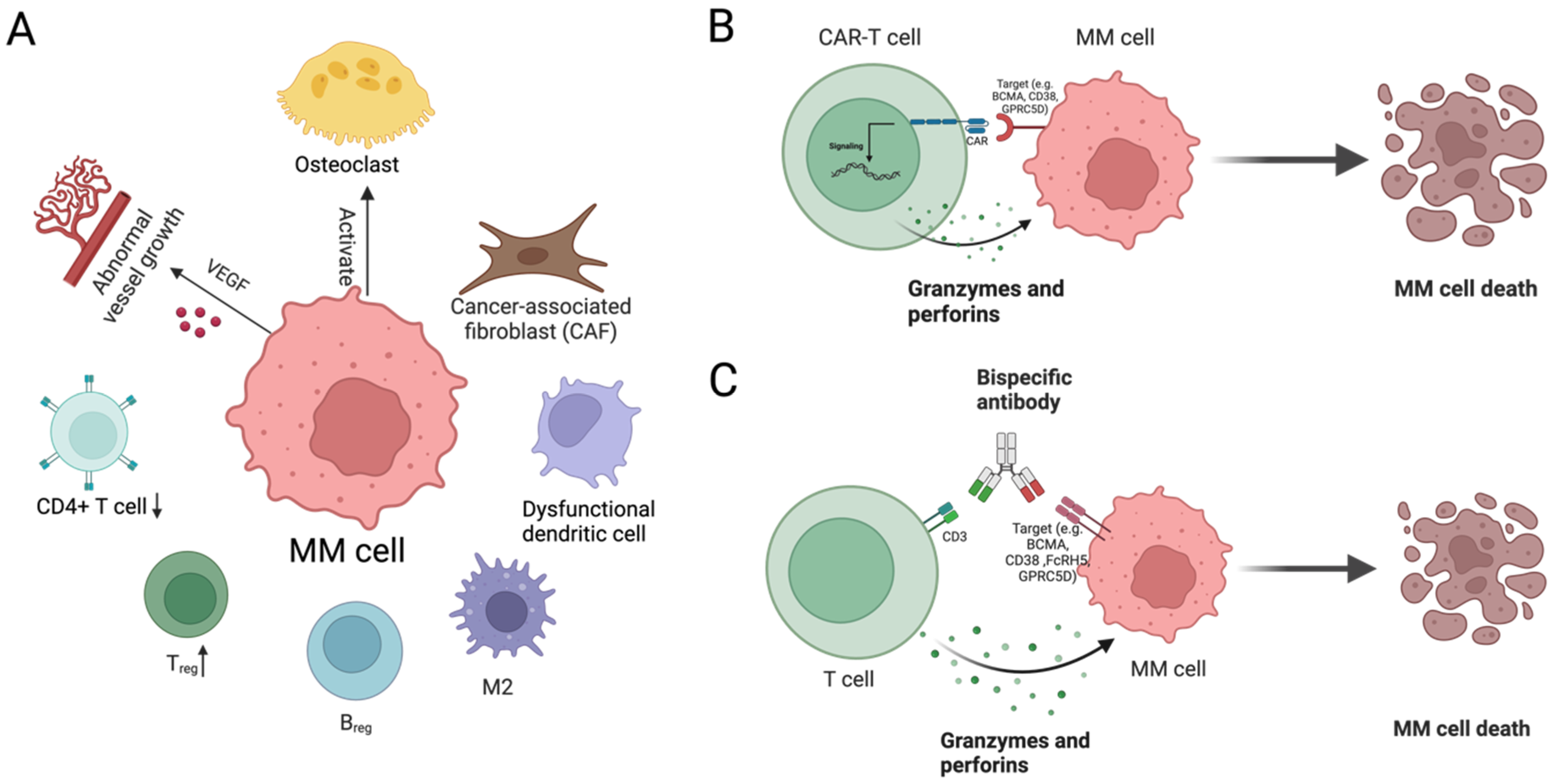 Cancers 17 00653 g005