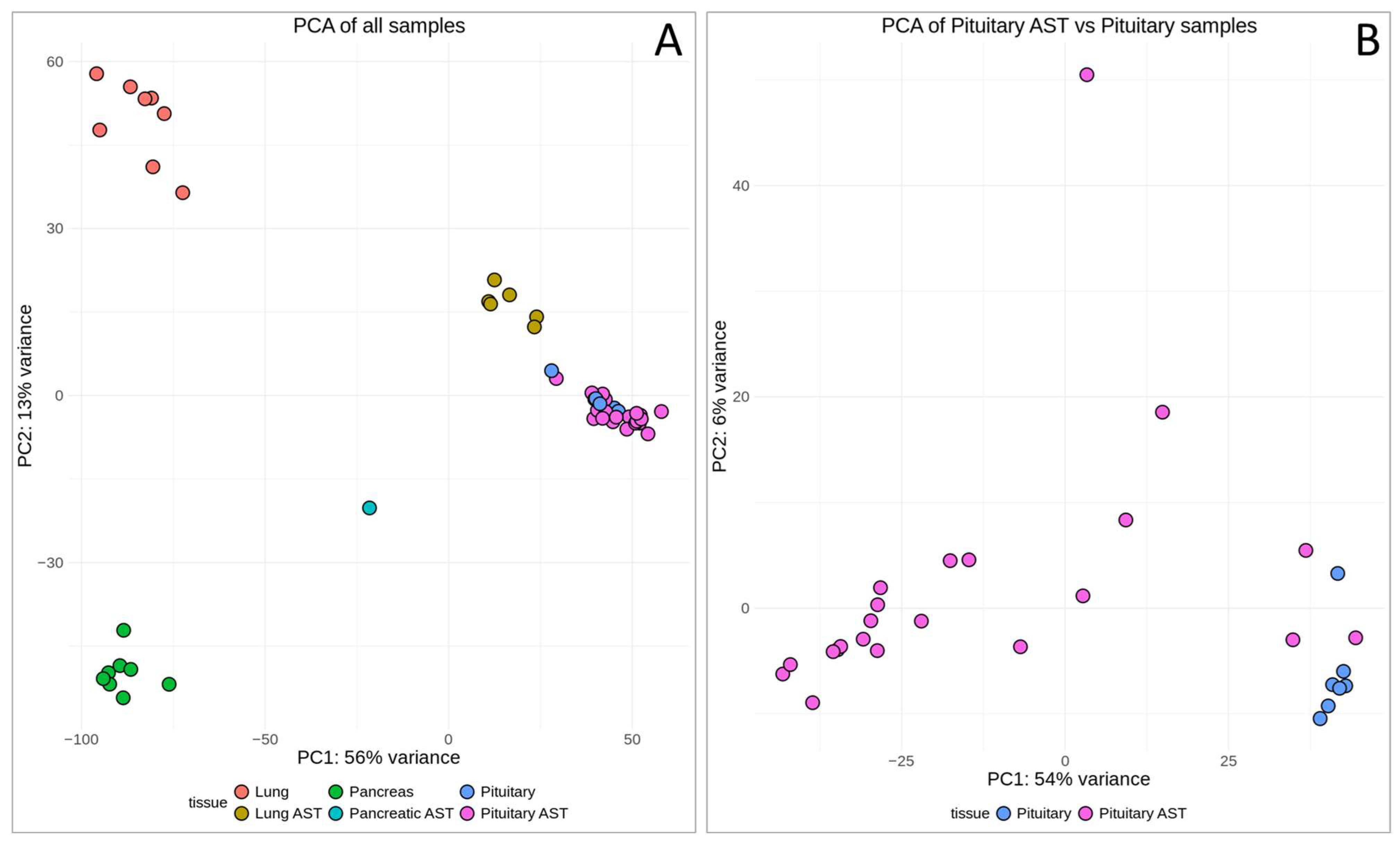 Cancers 17 00658 g002