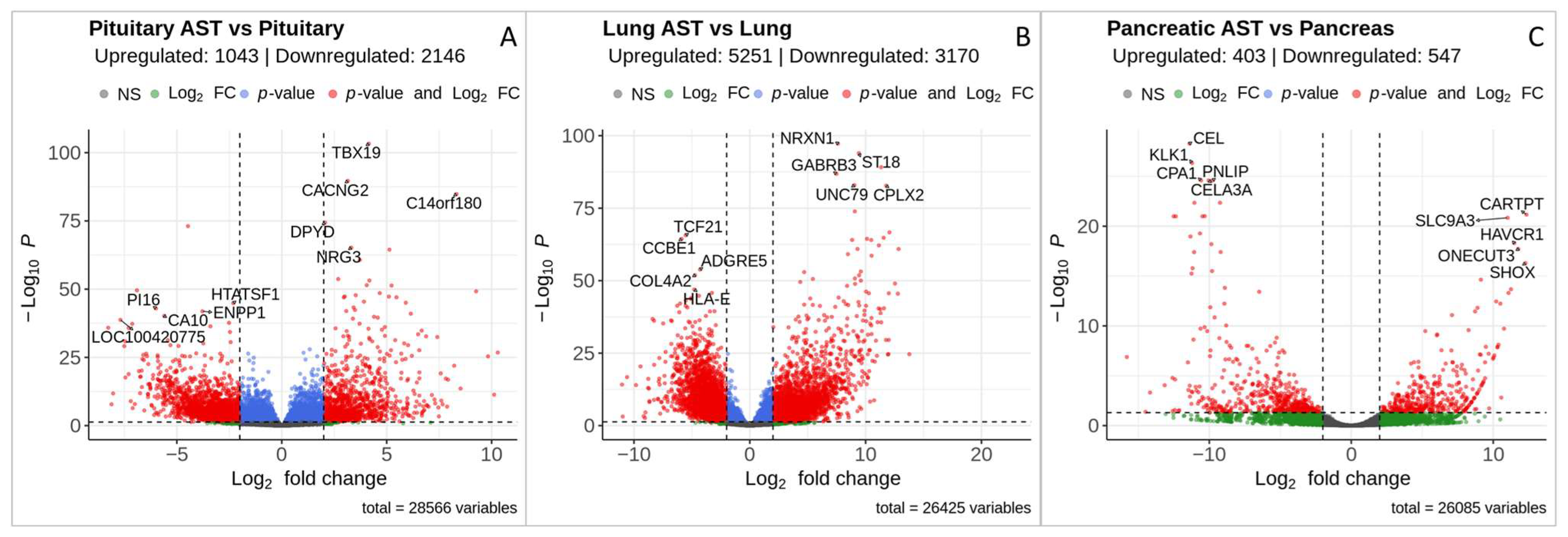 Cancers 17 00658 g003